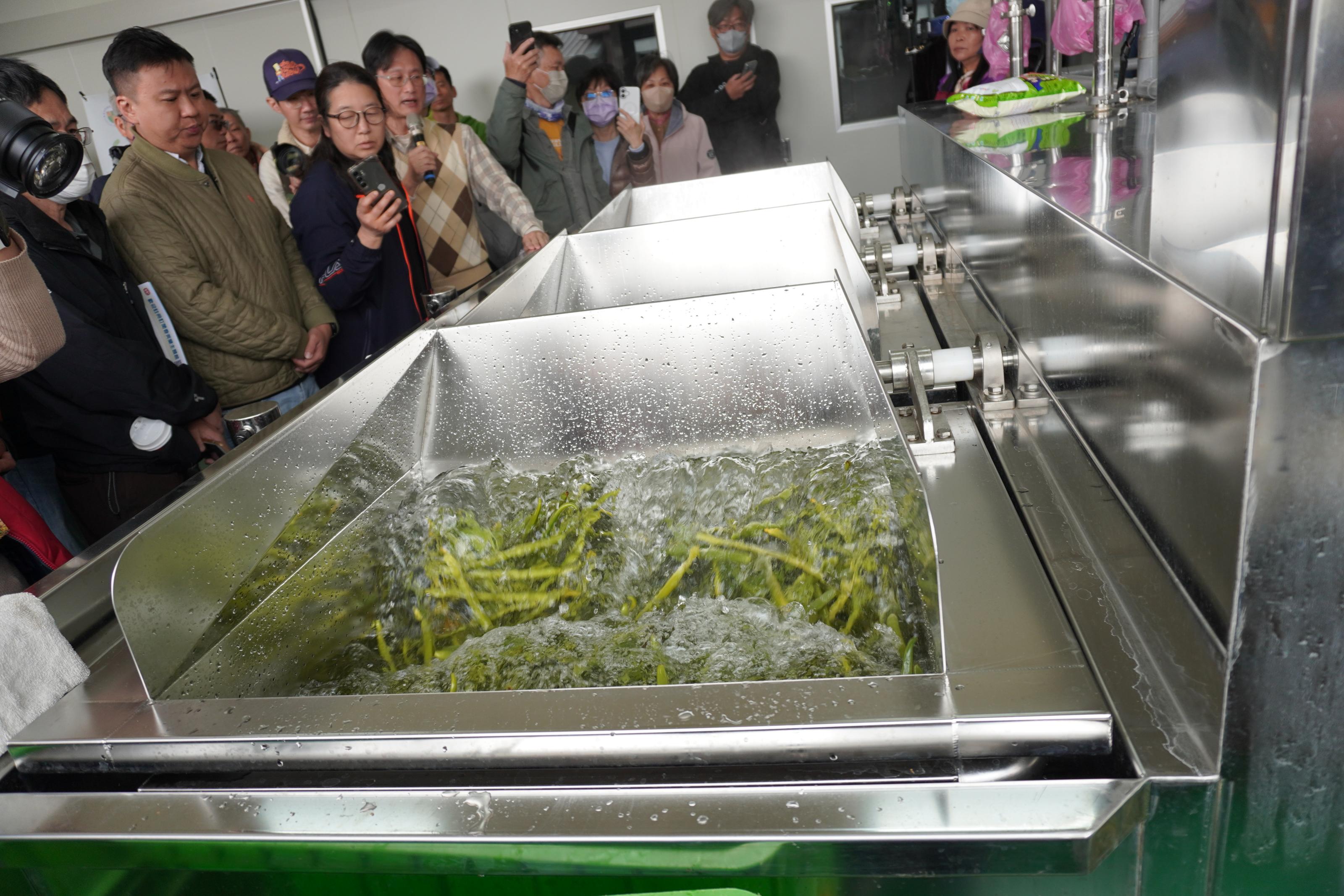 圖5.葉志新副研究員(持麥克風者)介紹香草莢殺菁設備。