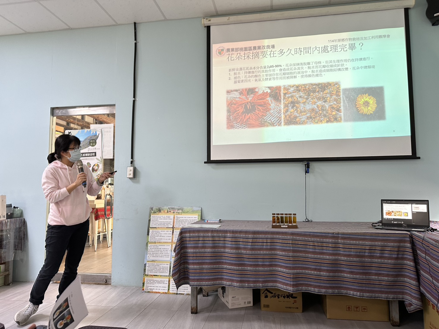 圖2.任珮君助理研究員說明採後處理是金盞花色澤及機能性成分保留之關鍵。