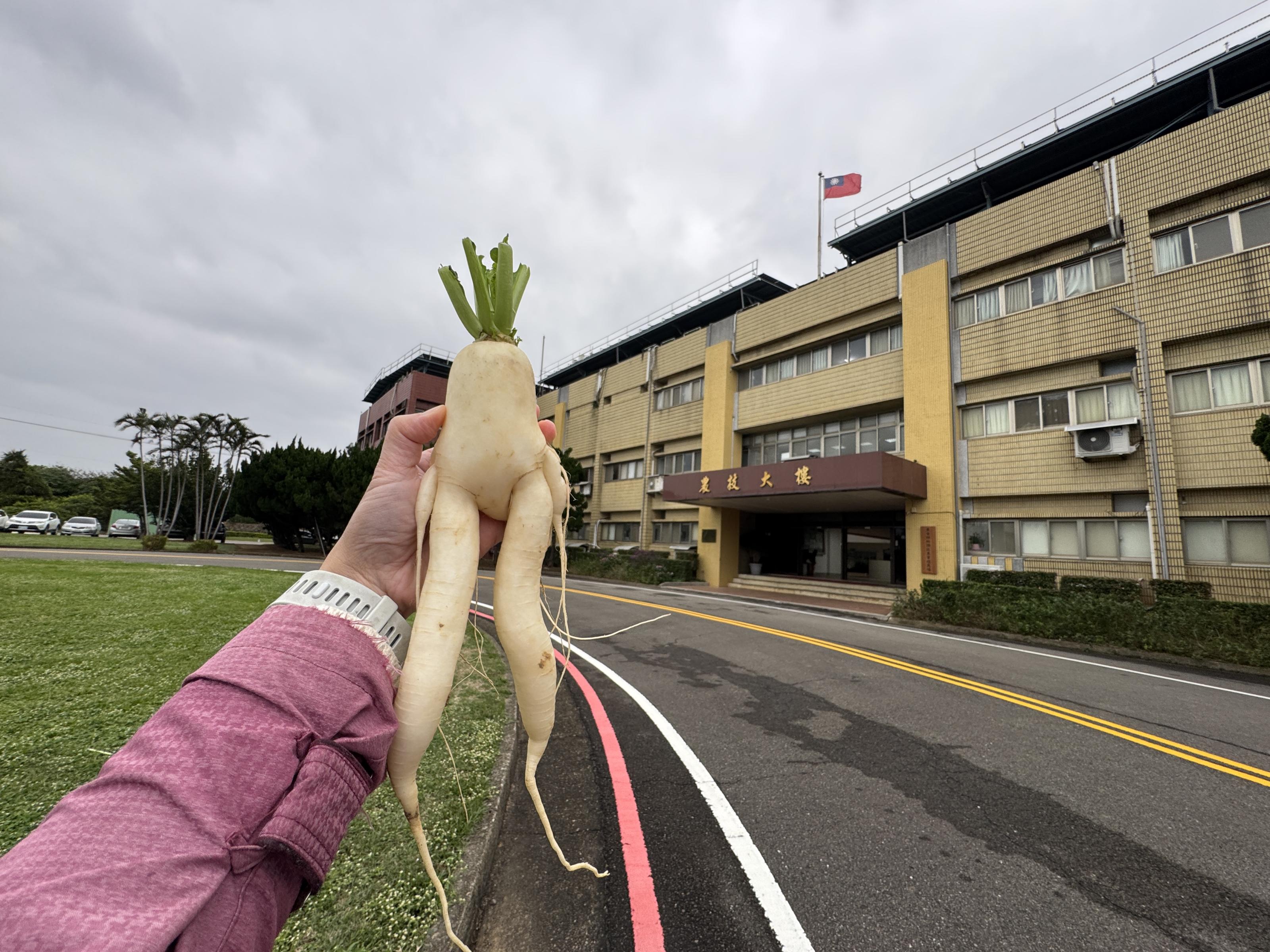 素聞本場精通於農業研究，今日特地來拜訪一下~