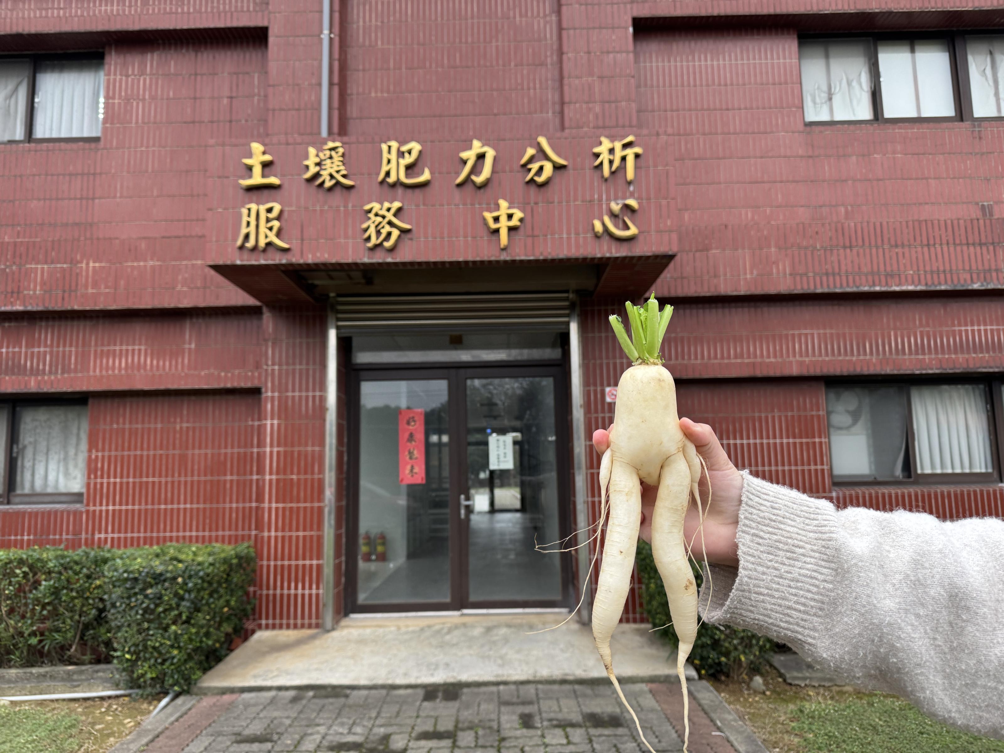 去「土壤肥力分析服務中心」驗土樣。