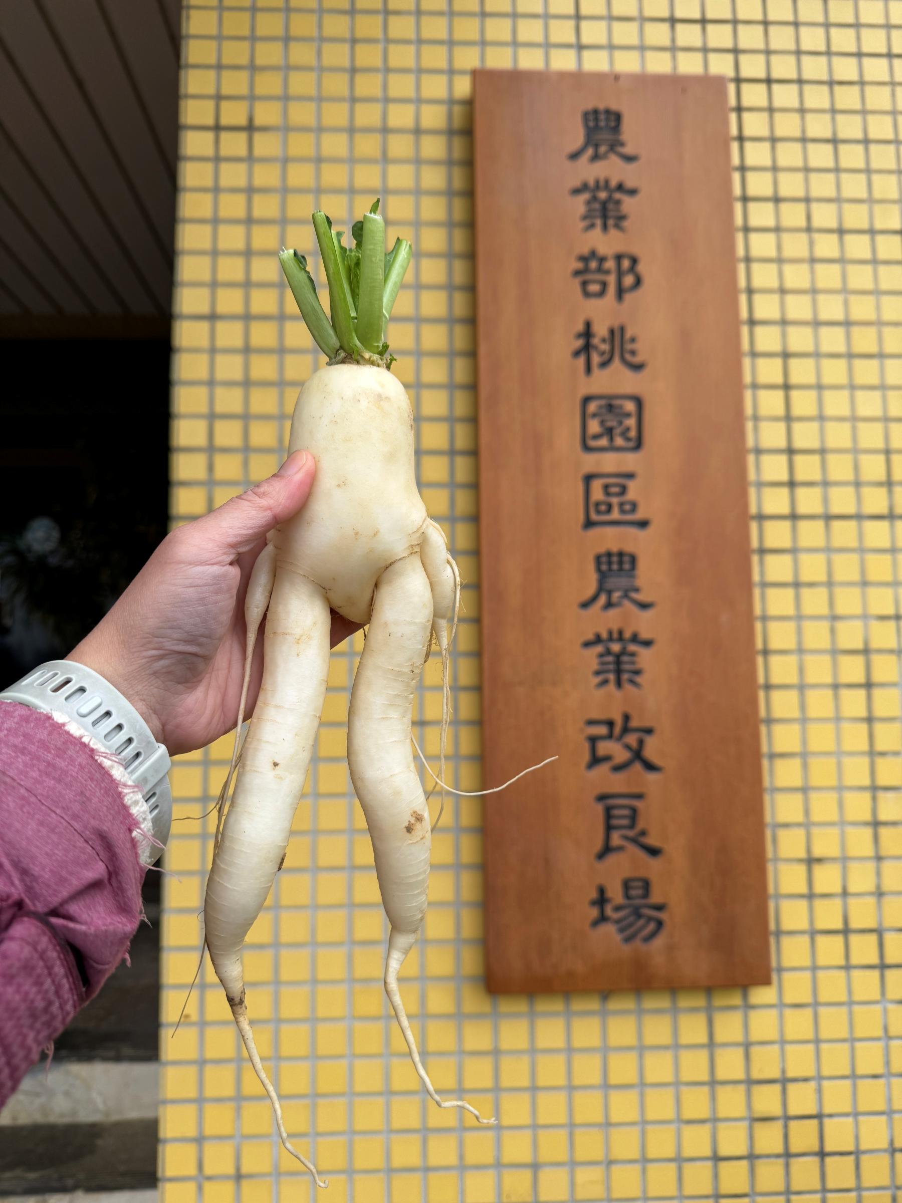 先在本場木匾拍張照。