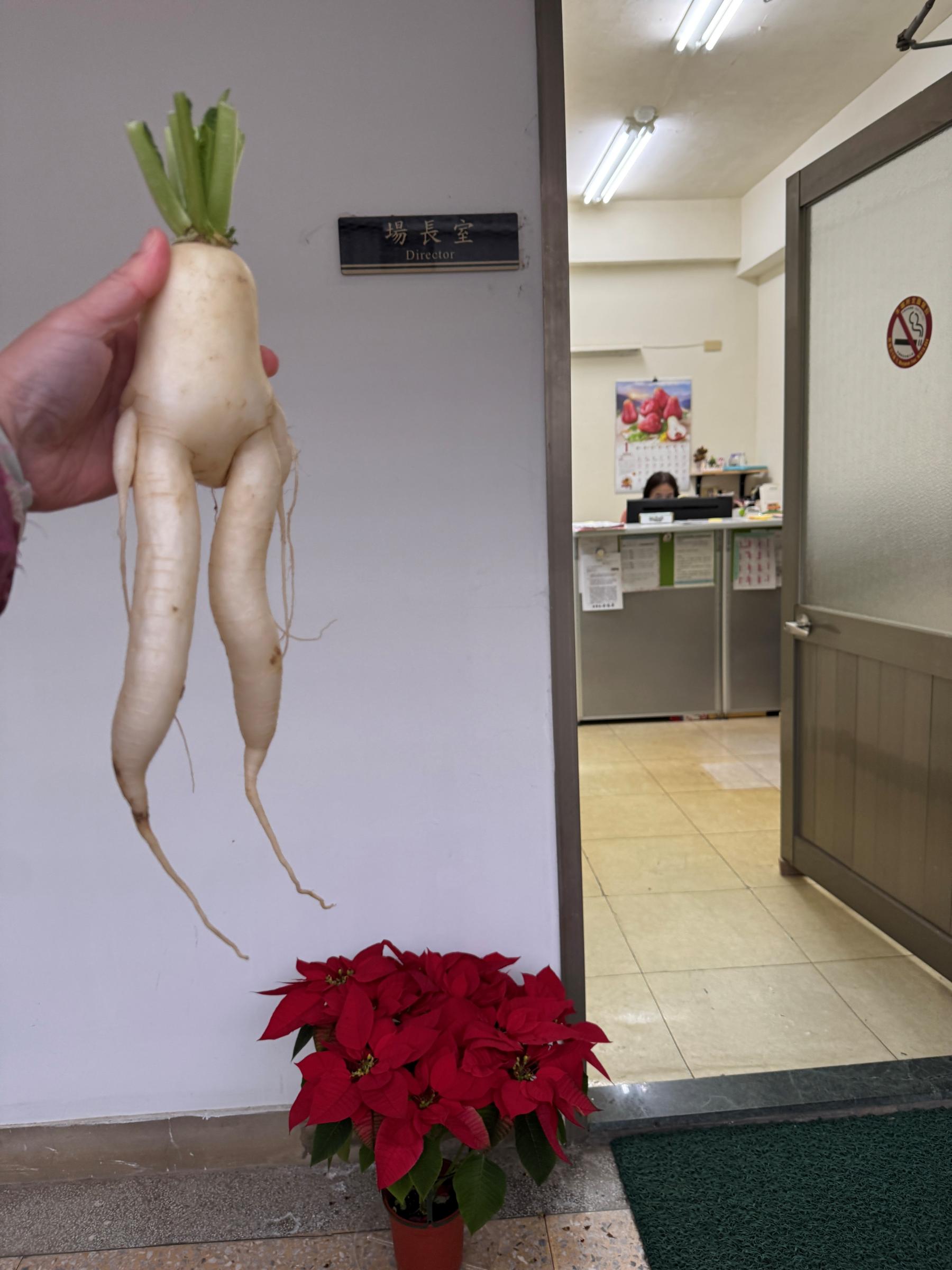 來去「場長室」拜訪場長。