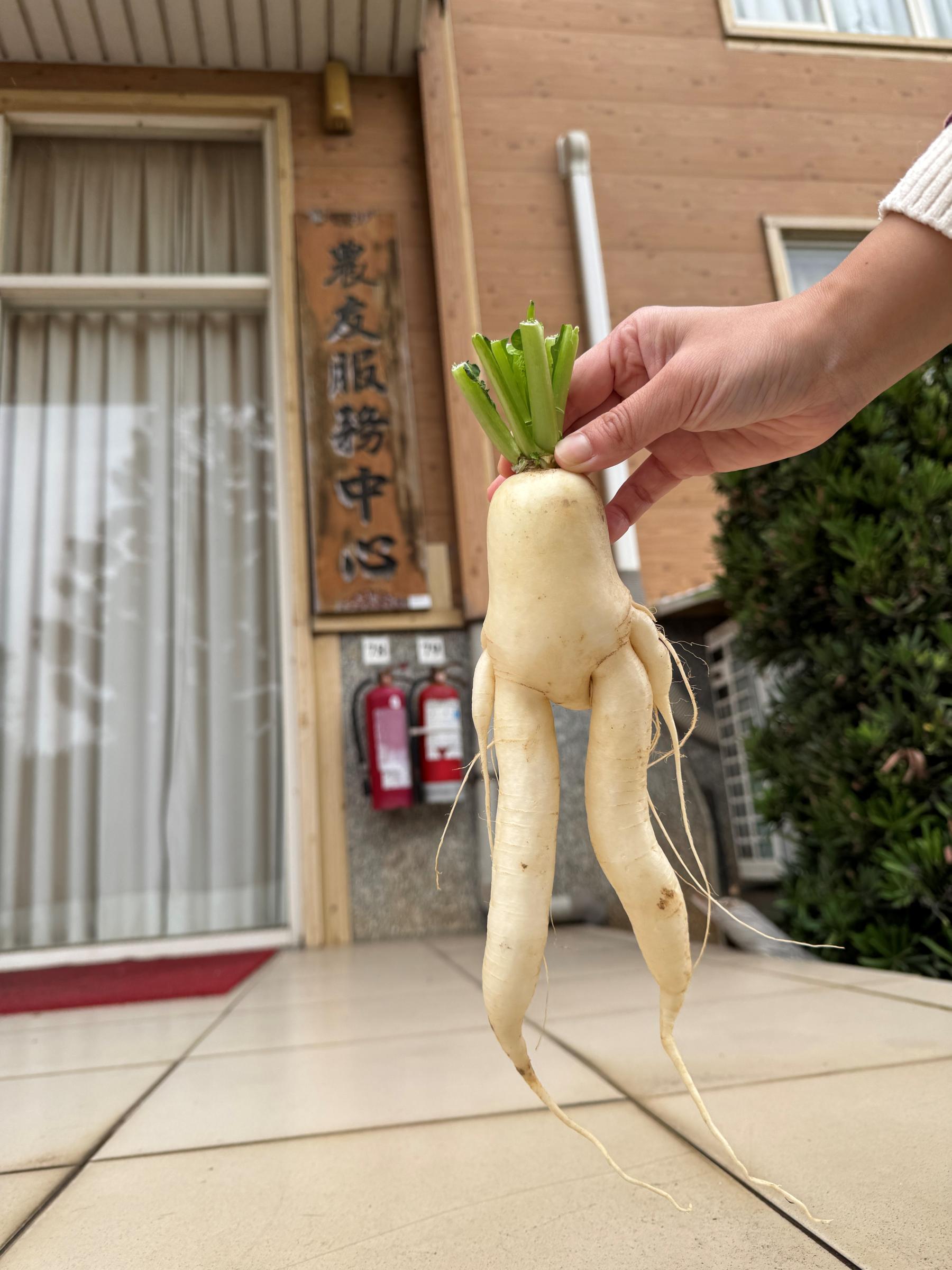 去「農民服務中心」瞭解服務流程。