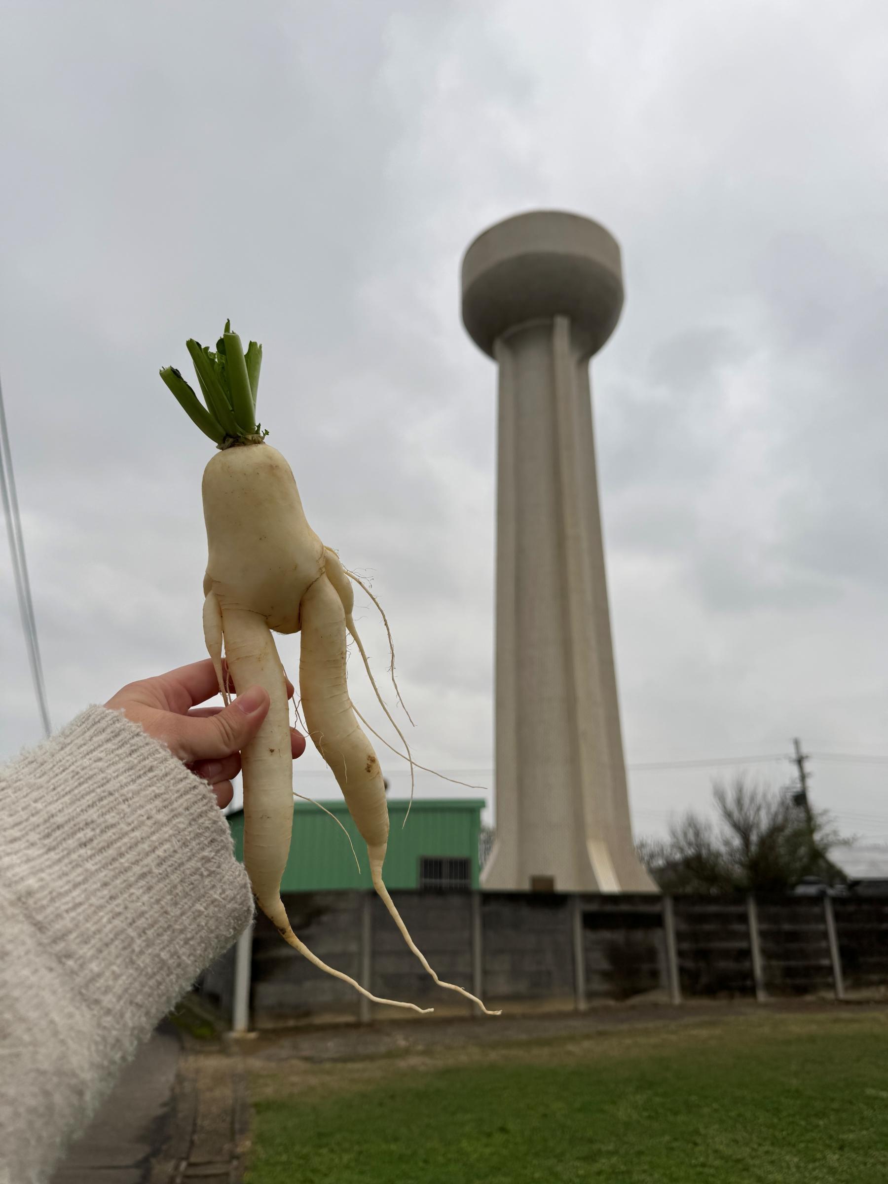 去看本場地標(水塔)。