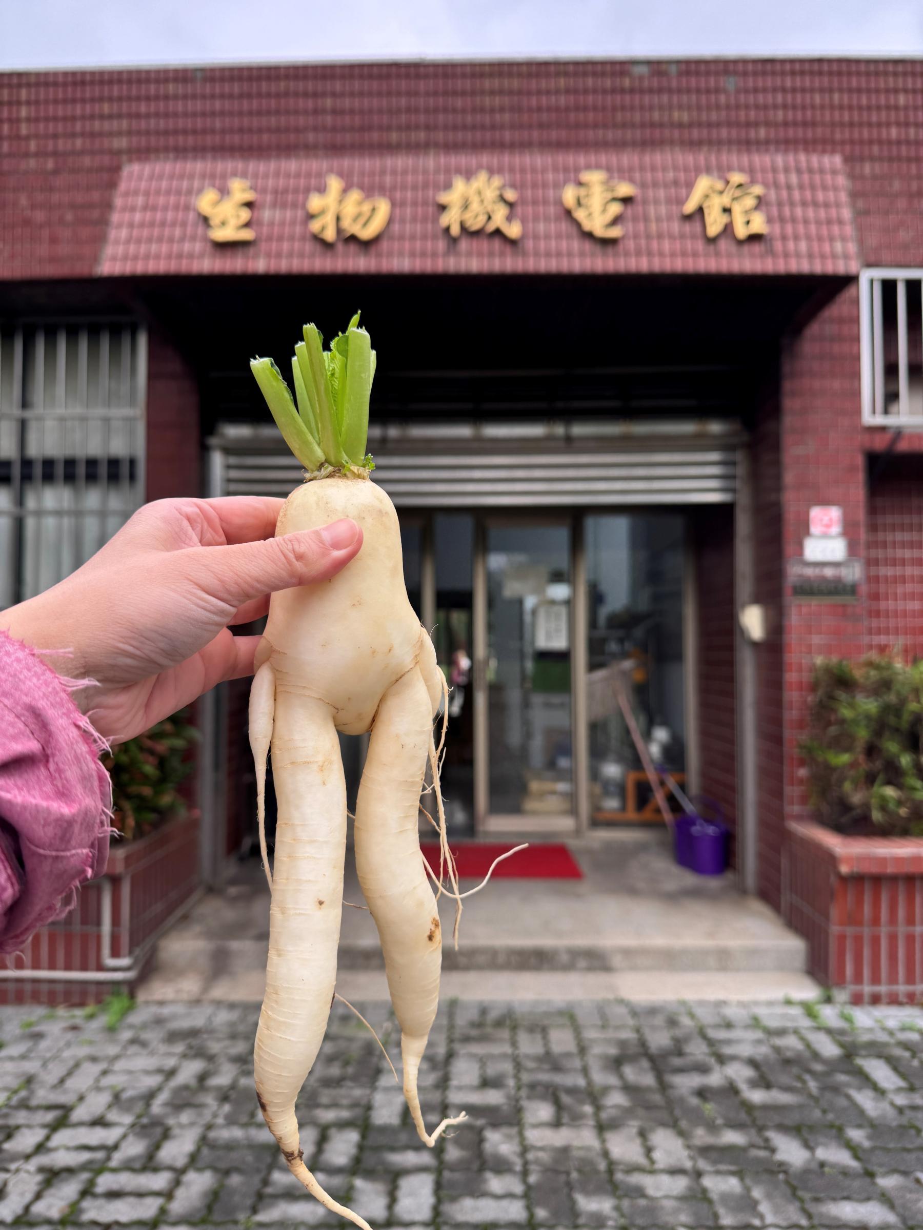來「生物機電館」看省工機具。