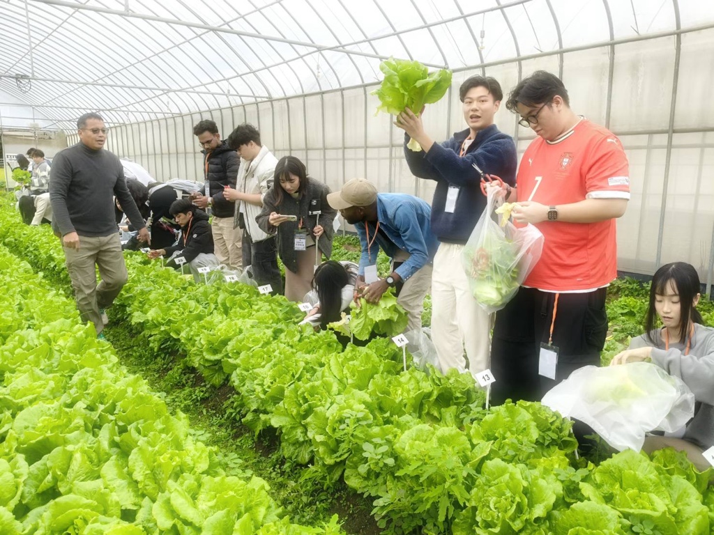 圖4.食農教育體驗時刻，同學們對於碩大的萵苣感到十分驚訝。