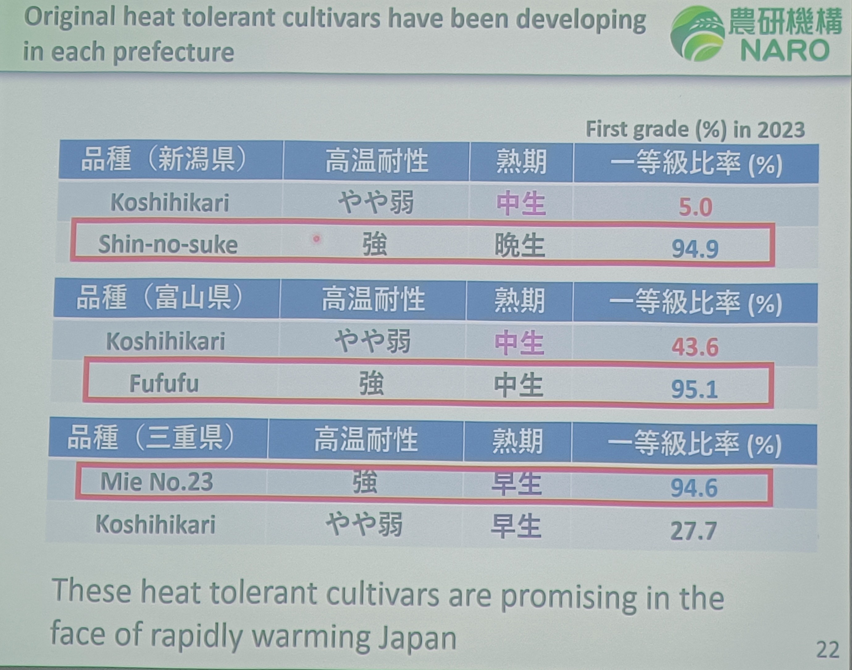 圖8.日本各地農業試驗單位陸續育出耐熱水稻品種(圖片來源: NARO簡報)。
