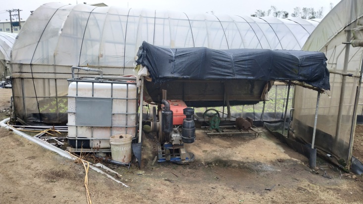 設施溫網室栽培葉菜類種類多樣且共通管線藥劑噴施容易造成農藥殘留違規 