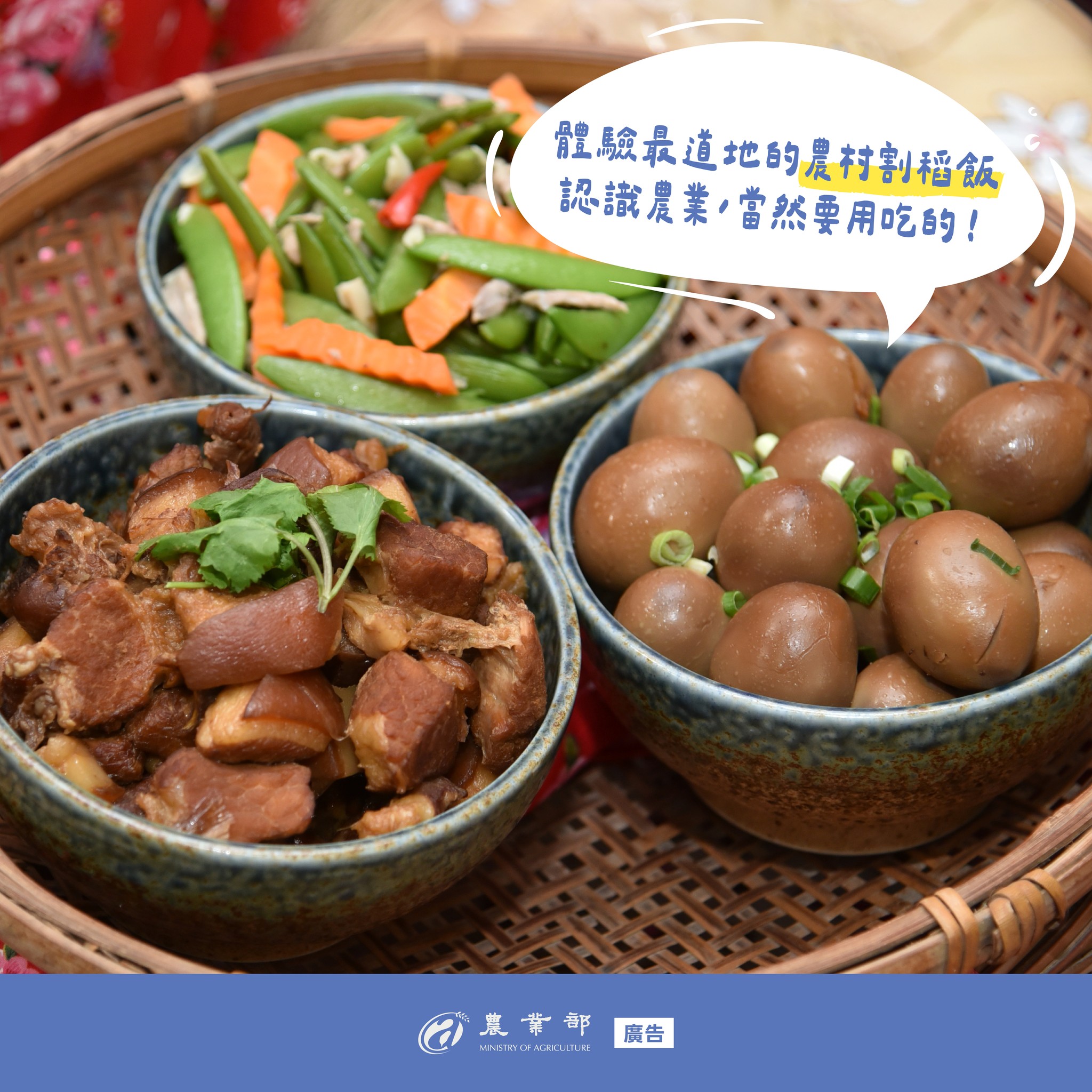 總統府前凱達格蘭大道與北廣場舉辦「凱道農玩節」活動-2