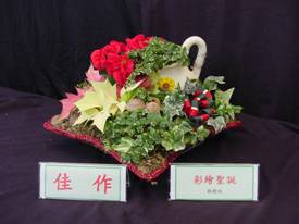 組合盆栽與花藝設計相同可營造節慶氣氛，觀賞期更長