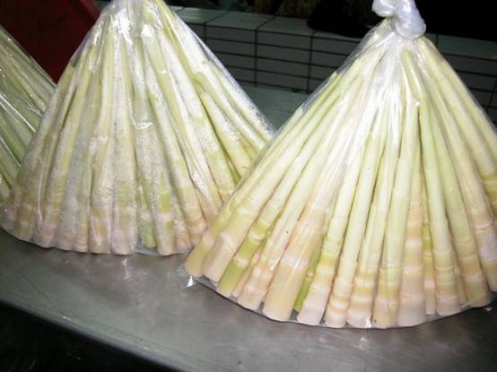 圖 2. 市售去殼箭竹筍