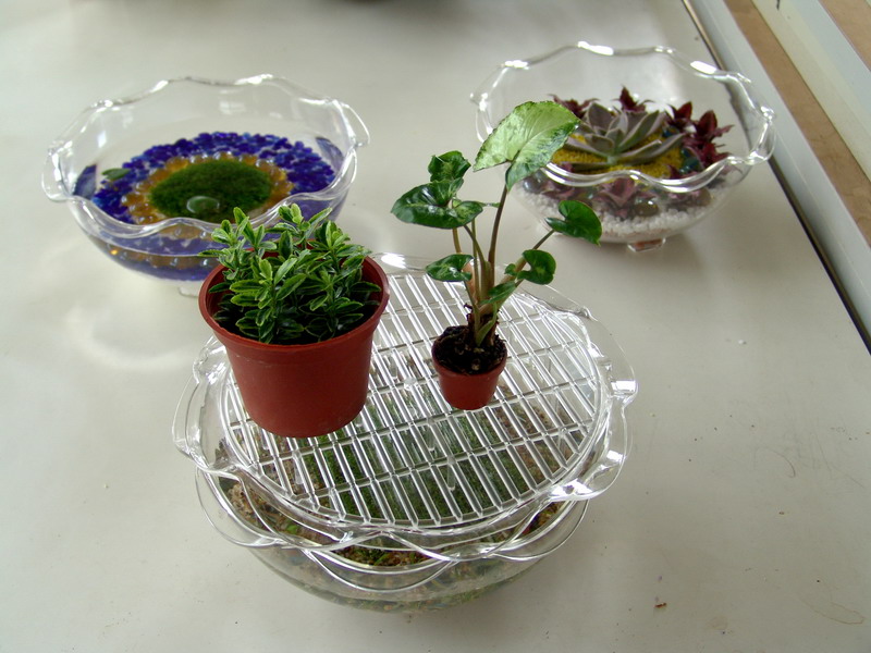 小品盆花自動給水盤具有組合盆花、開運裝飾、養水草等功能\\