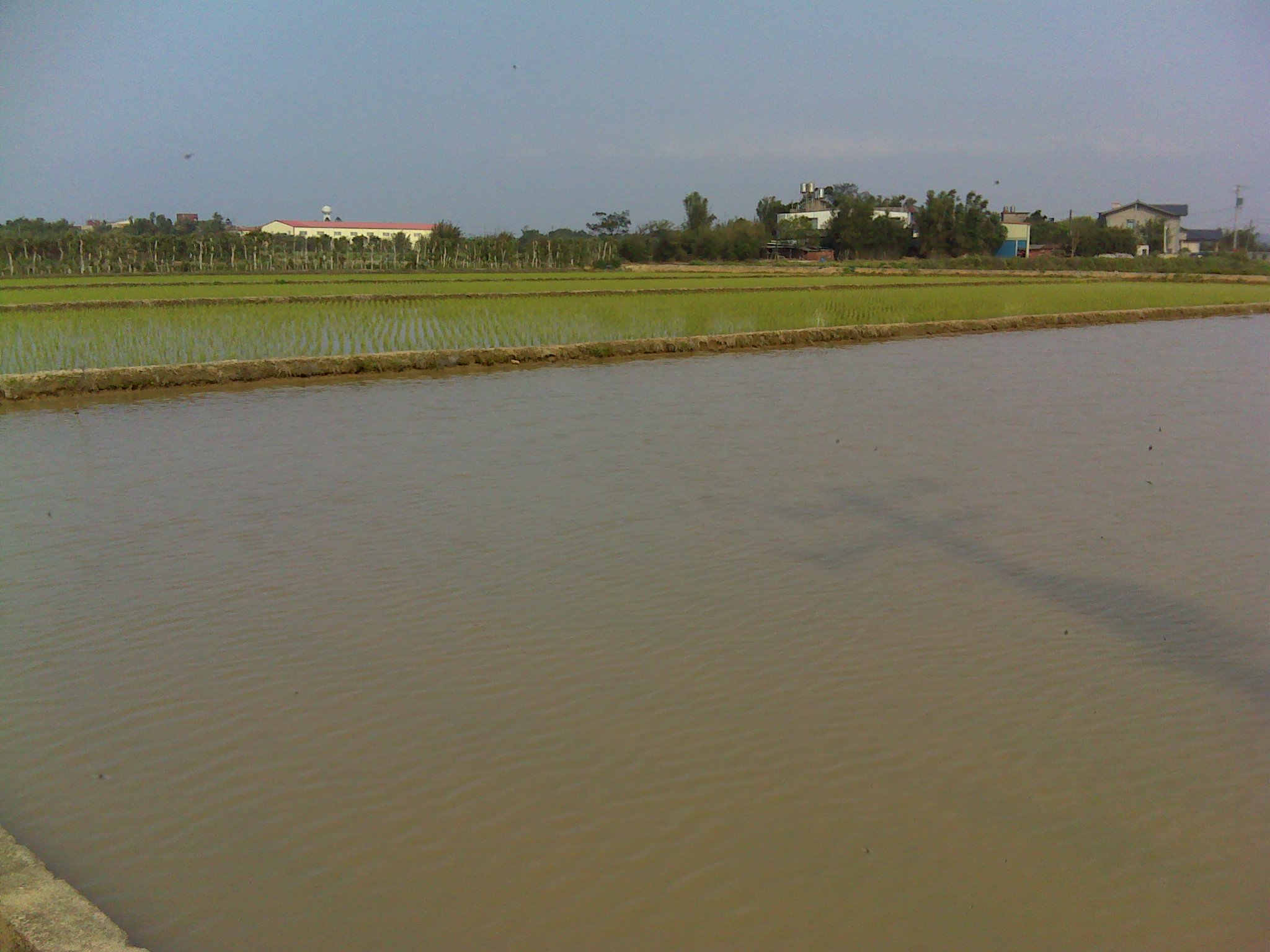 蓄水期間須維持農田表面湛水狀態。