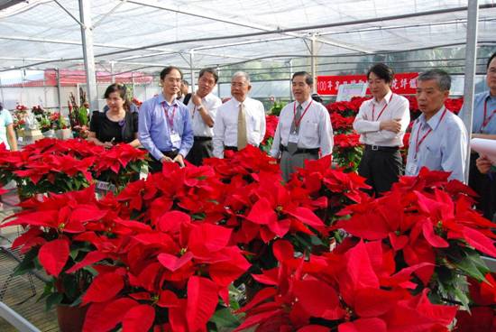 邀集產官學研、花卉團體及市場之專業人士共同遴選出今年高品質聖誕紅盆花。 