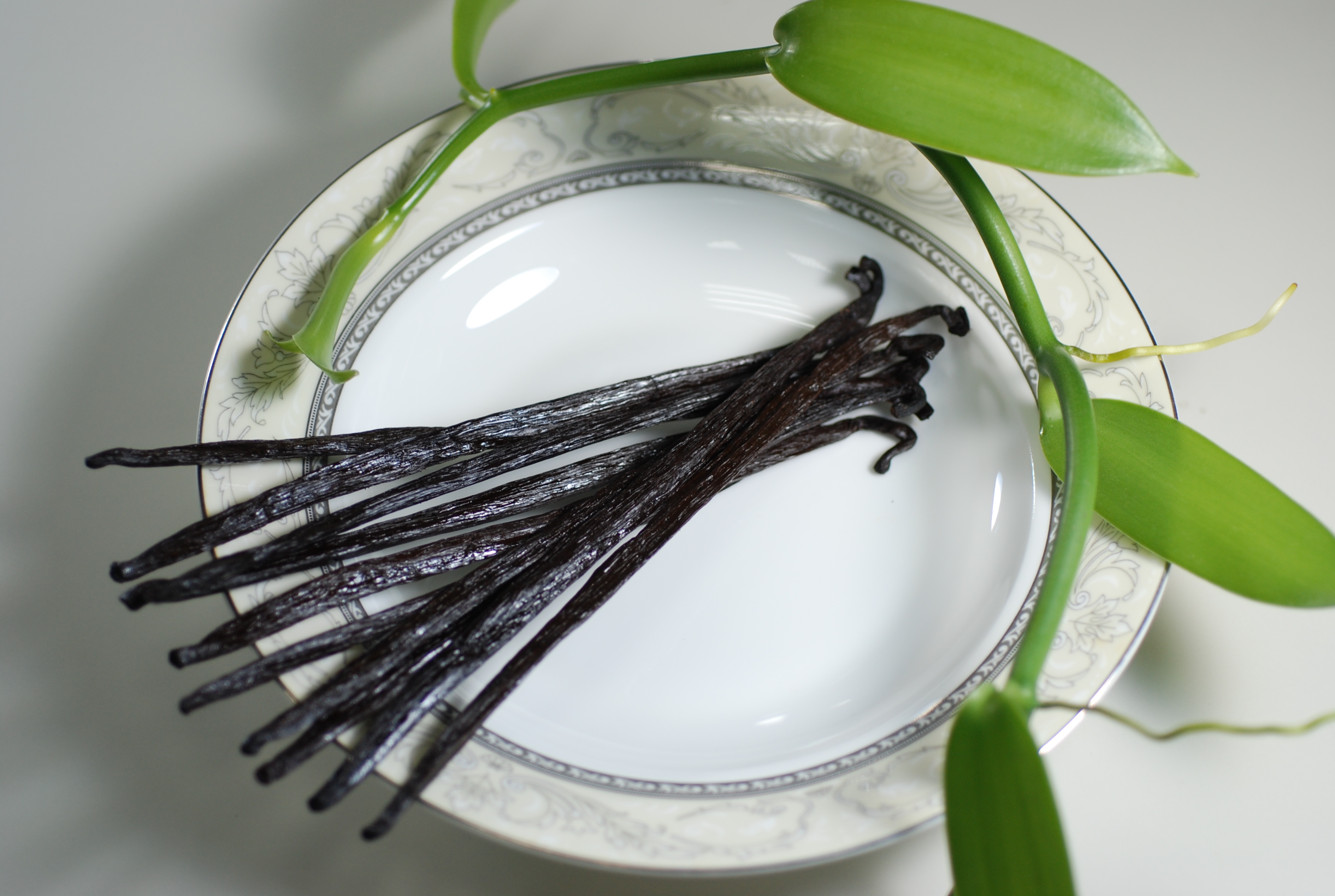 經過層層加工後的黑褐色的香草莢。