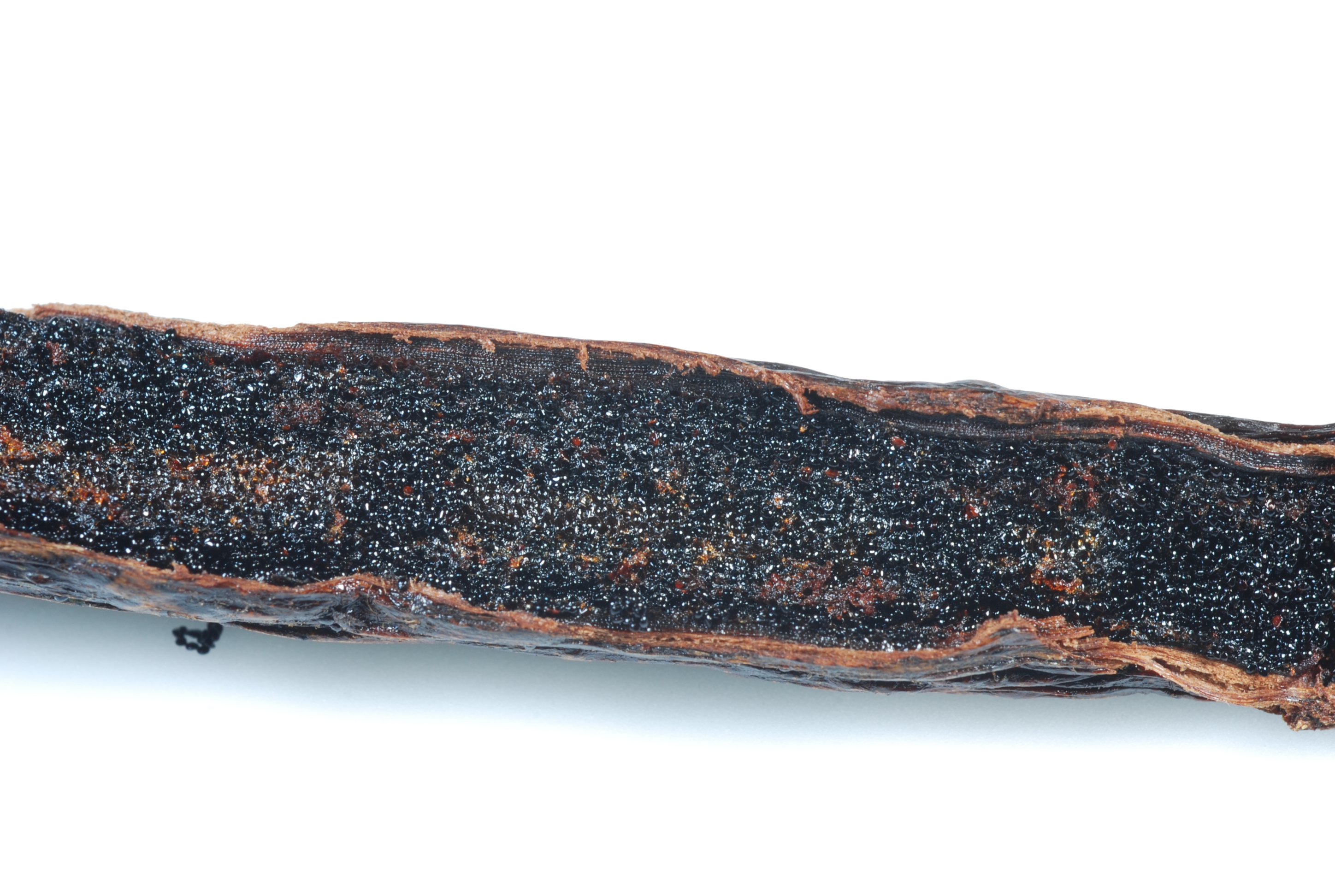 切開後的香草莢，黑色種子帶有濃郁香味。