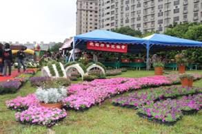 花壇草花應用展示。