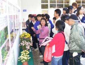 試驗研究推廣成果展。