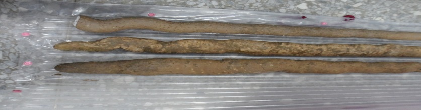 「緩衝氣柱袋」應用於山藥產品包裝。