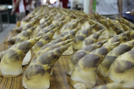 綠竹筍選購原則 : 白、彎、短、肥、像牛角 