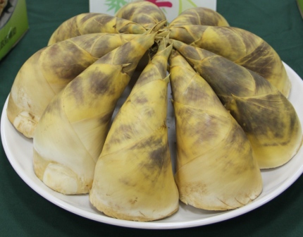 綠竹筍選購原則 : 白、彎、短、肥、像牛角 