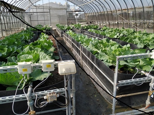 智慧型農耕技術