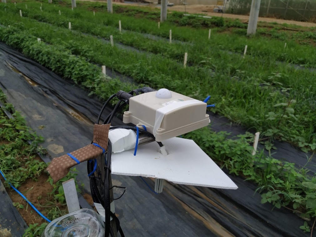 圖1、智慧監控管理技術可長期監測田間光照、空氣溫度濕度及土壤濕度。