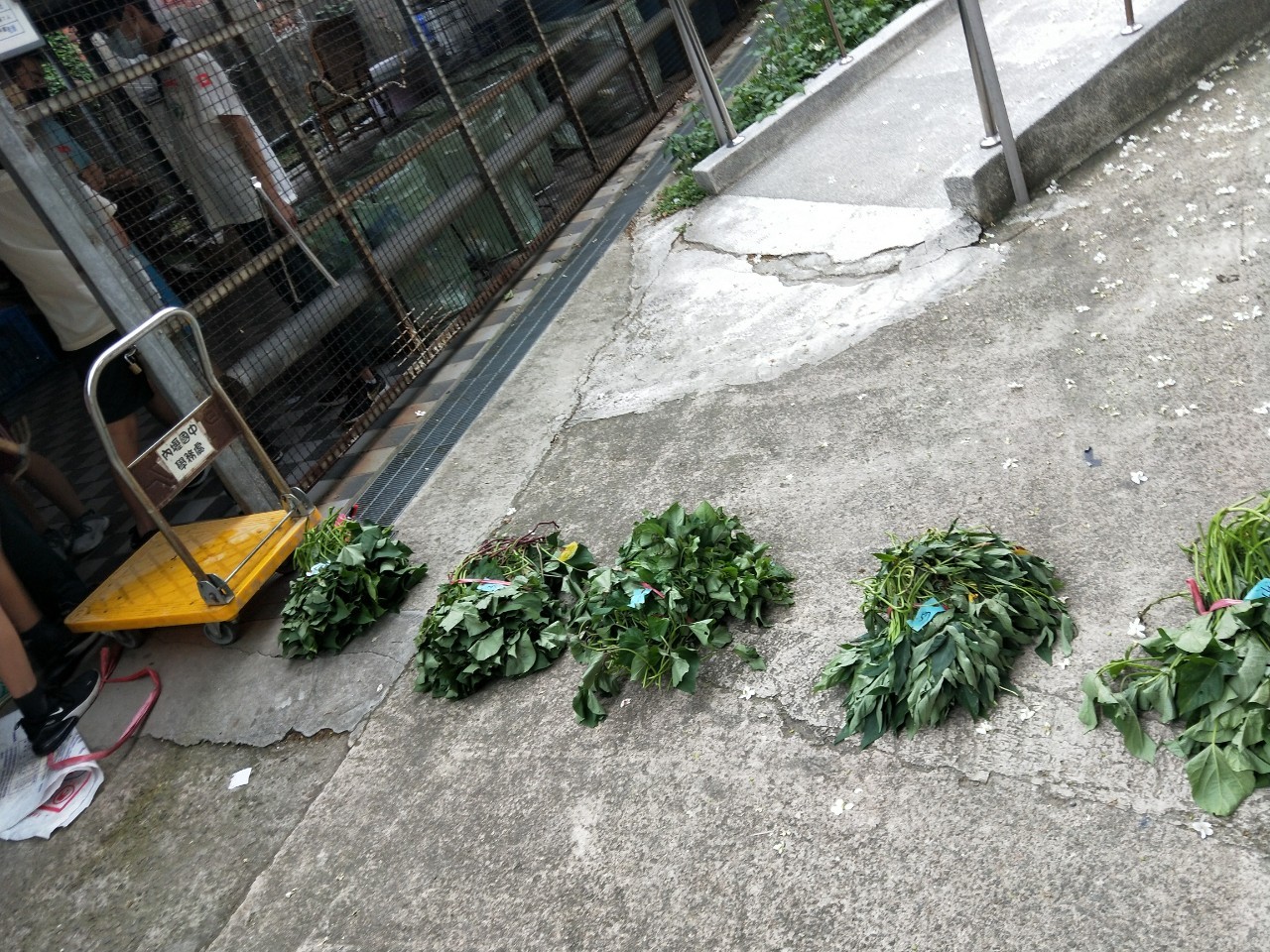 圖2.種植前期，老師利用綜合課程與社團活動讓同學們參與，先從鬆土整地開始。