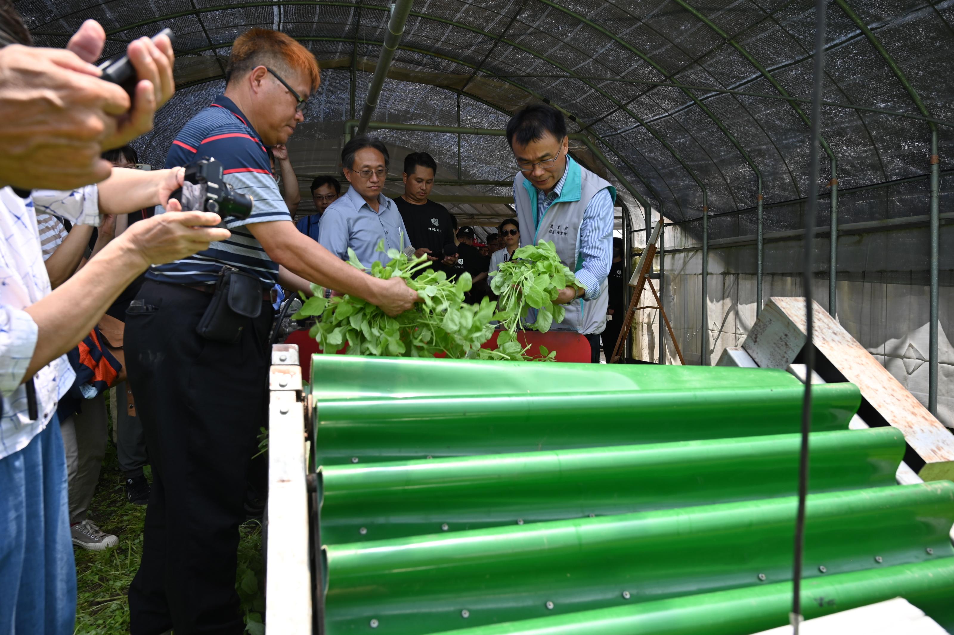 圖4，農業部陳吉仲部長暸解葉菜電動散裝收穫機操作成效