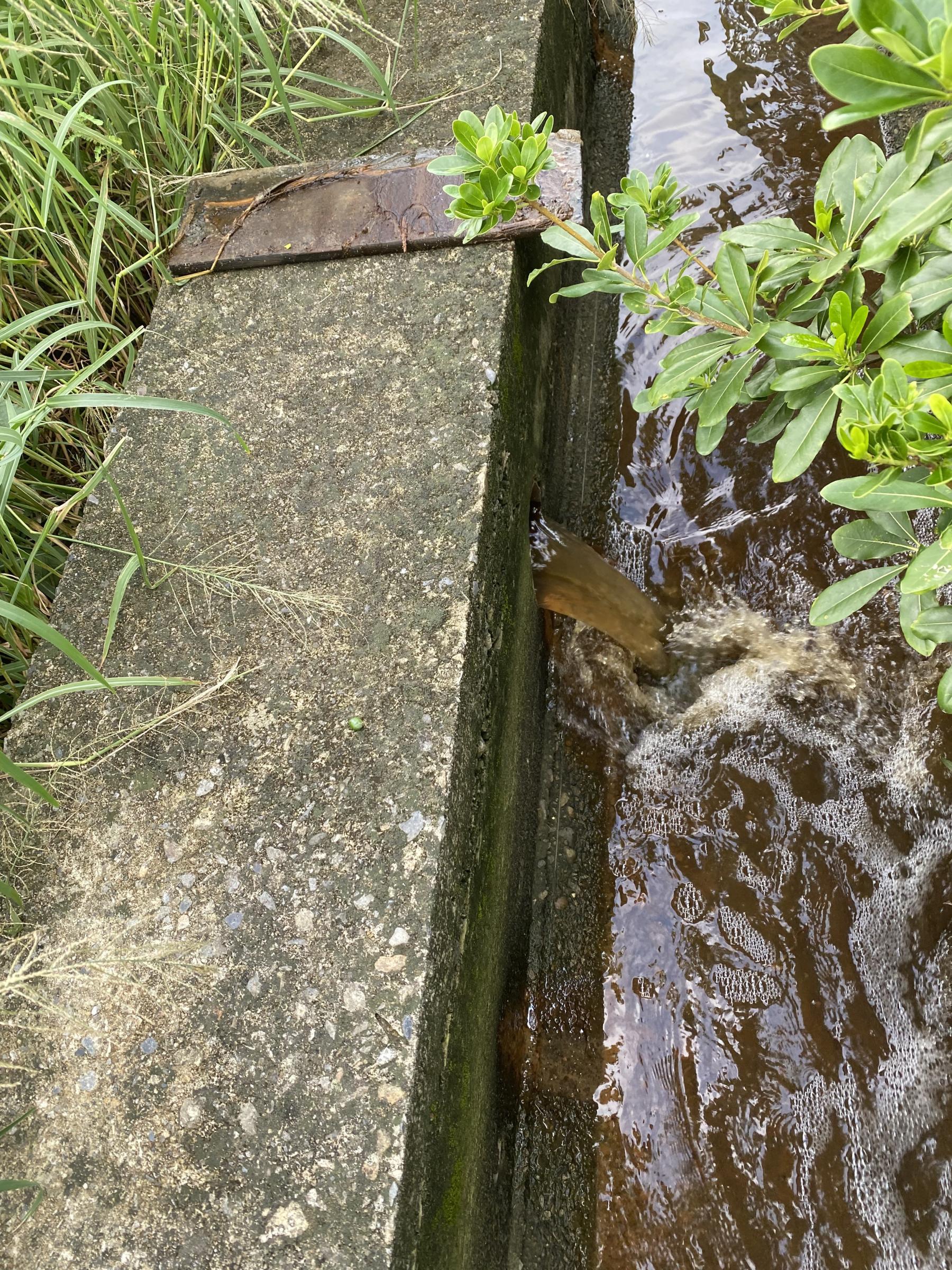 3.大雨前或大雨後，移除檔板並疏通排水孔，確保田間積水可以順利排除。