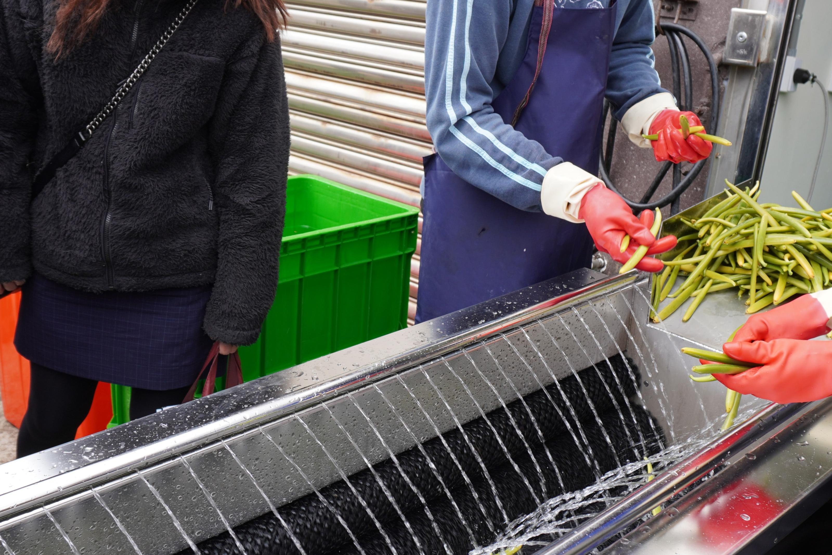 圖1.香草莢清洗設備