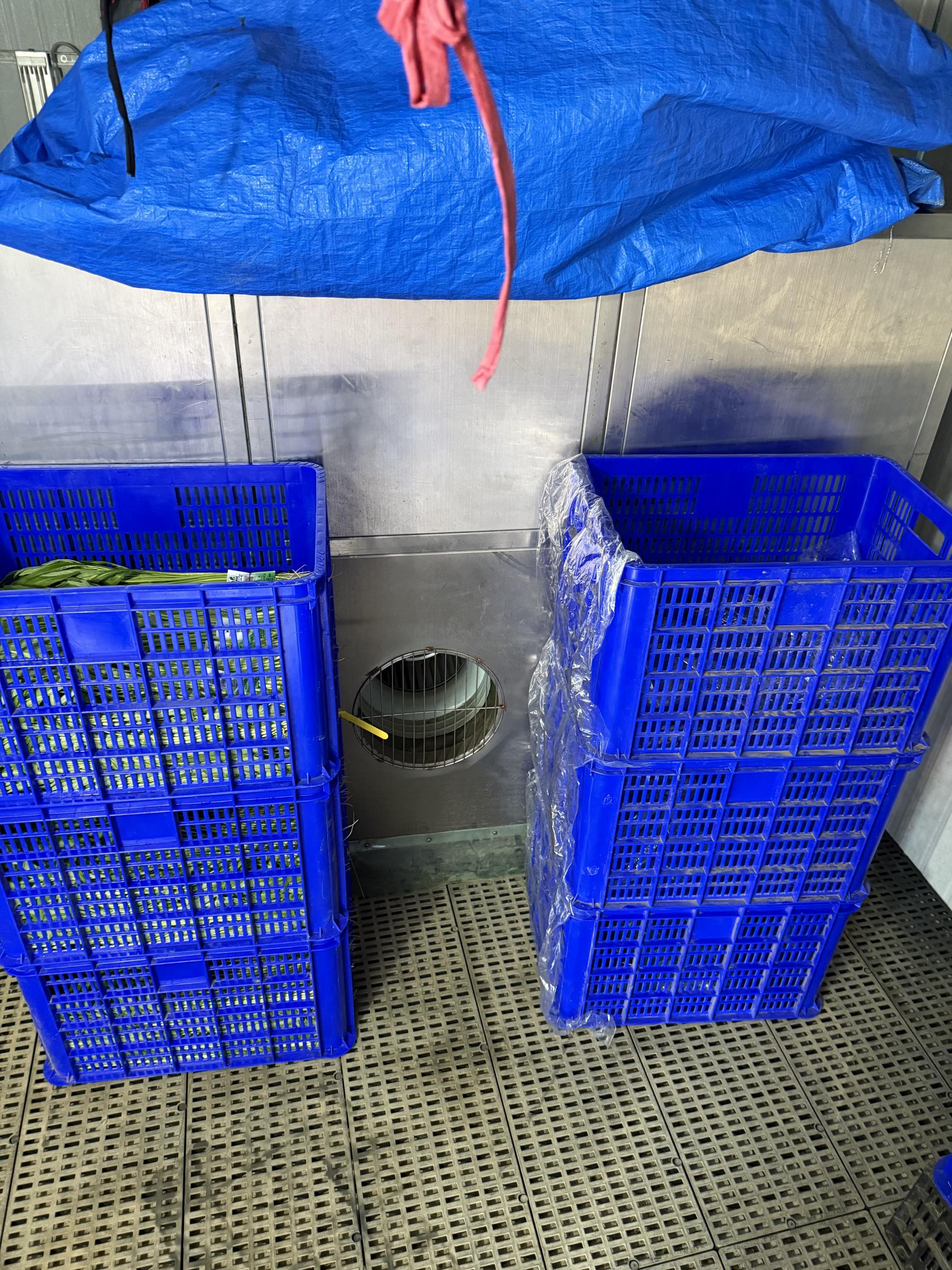 (a)採用側吸式壓差預冷機，葉菜塑膠籃放壓差預冷機抽風口兩側(若另一側塑膠籃內無葉菜，可放塑膠布於塑膠籃側邊擋風即可)