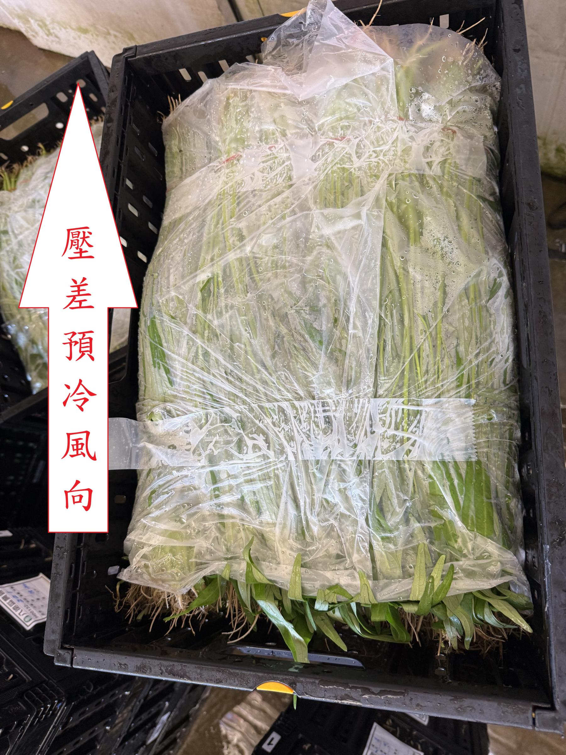 圖2. 預冷時減少抽風風阻措施。葉菜排列方向與壓差風向一致，及塑膠布包裝(或裸菜包裝也可以，避免打洞塑膠袋包裝擋風)，縮短預冷時間。
