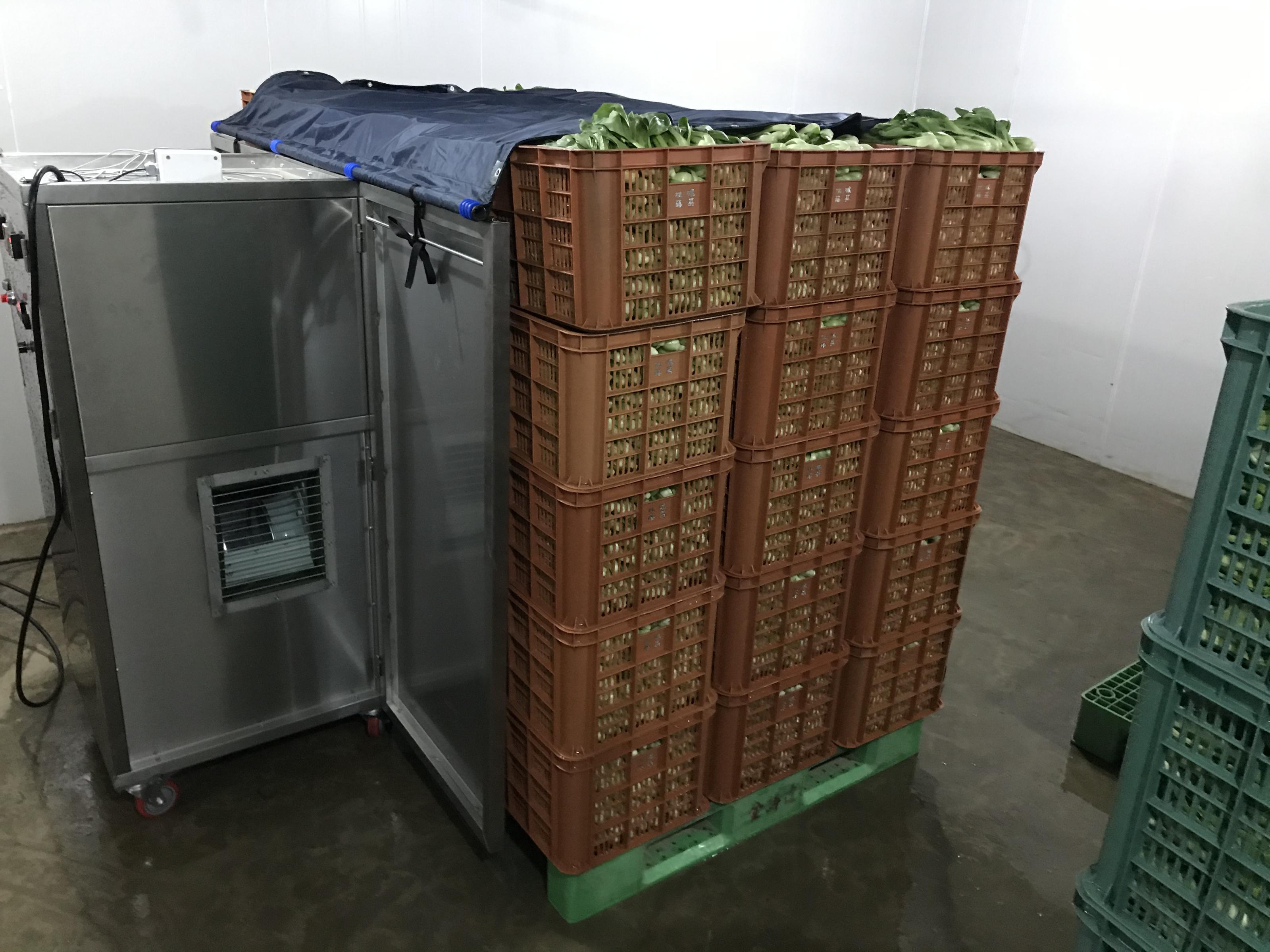 圖3. 未來葉菜可集貨至冷藏庫內之出貨棧板或平板車上進行預冷，圖例為處理出貨棧板上集貨之青梗白菜。