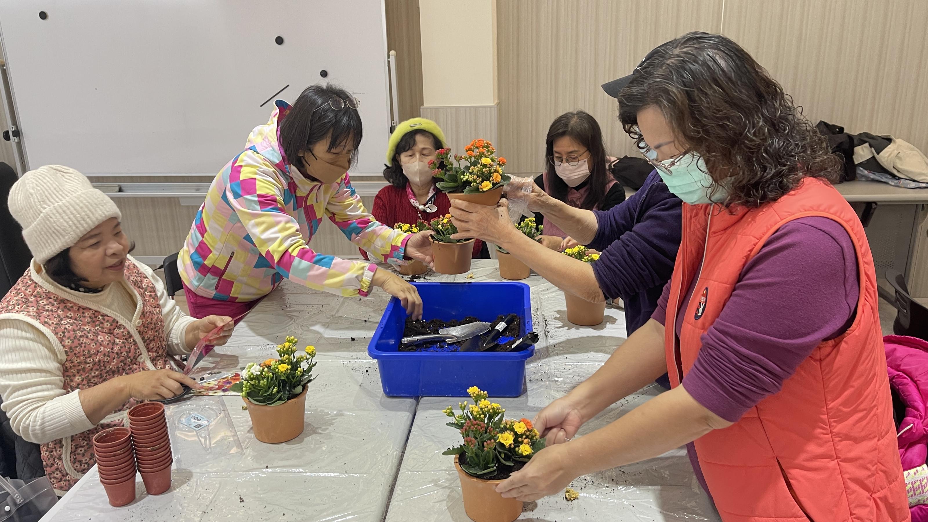 圖1.家庭園藝，大家自己動手種應景的長壽花，好開心！（深坑區農會）