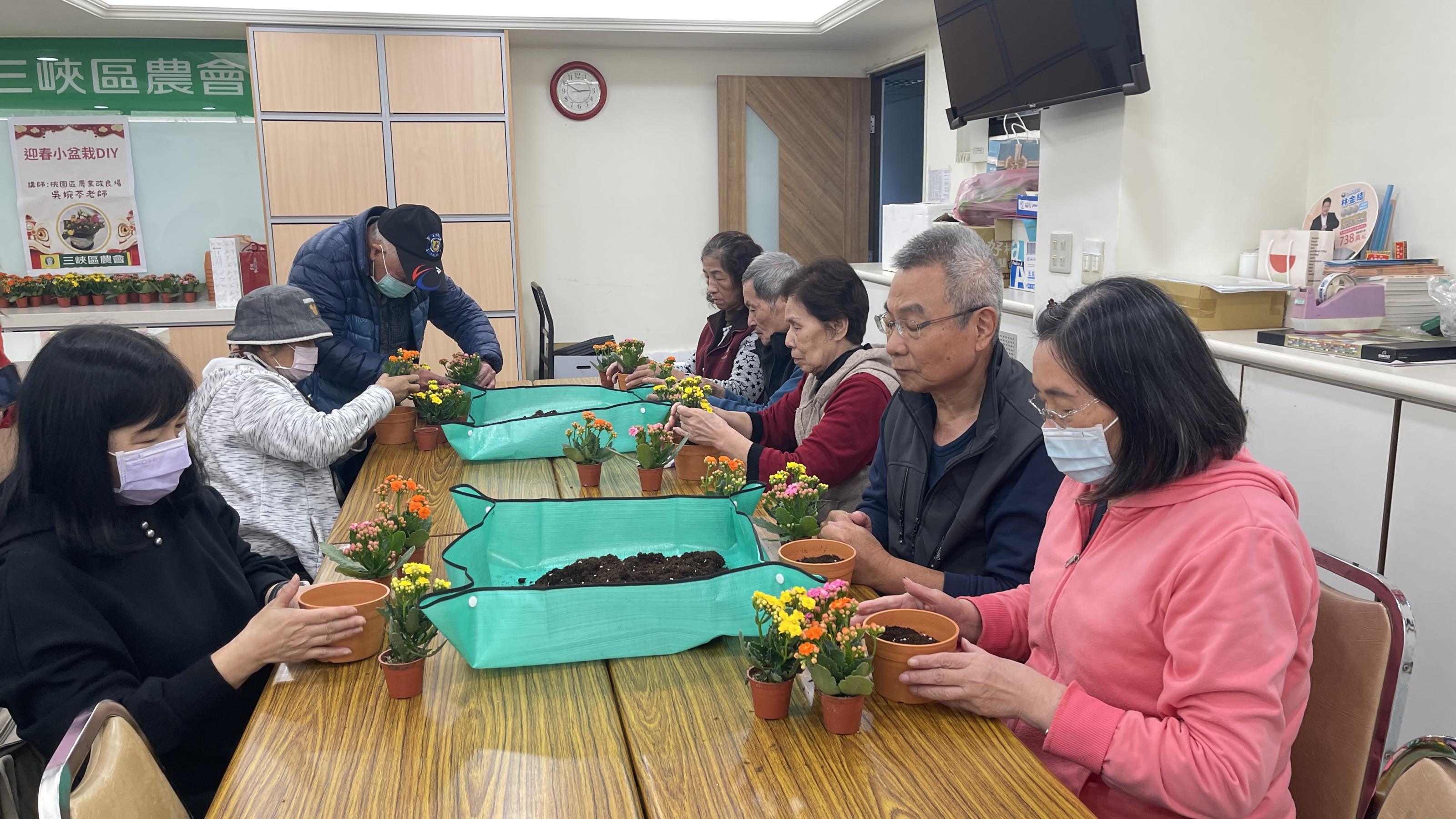 圖3.高齡者發揮巧思，相同的植物材料，透過不同的排列組合，種出自己的年節組合盆栽。(三峽區農會綠照站)
