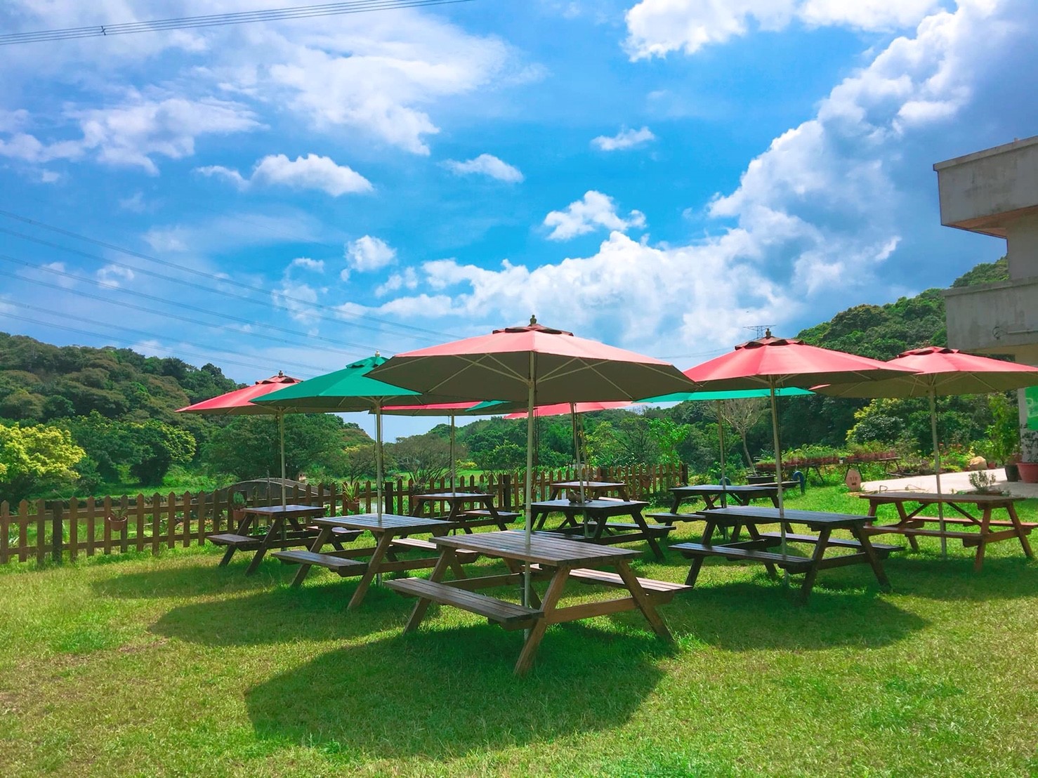 遠足生態農場可以一覽金山的好景色。