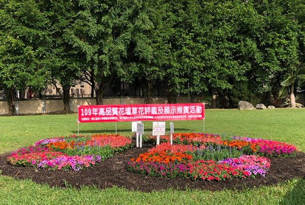 高品質花壇草花評鑑評審合照 