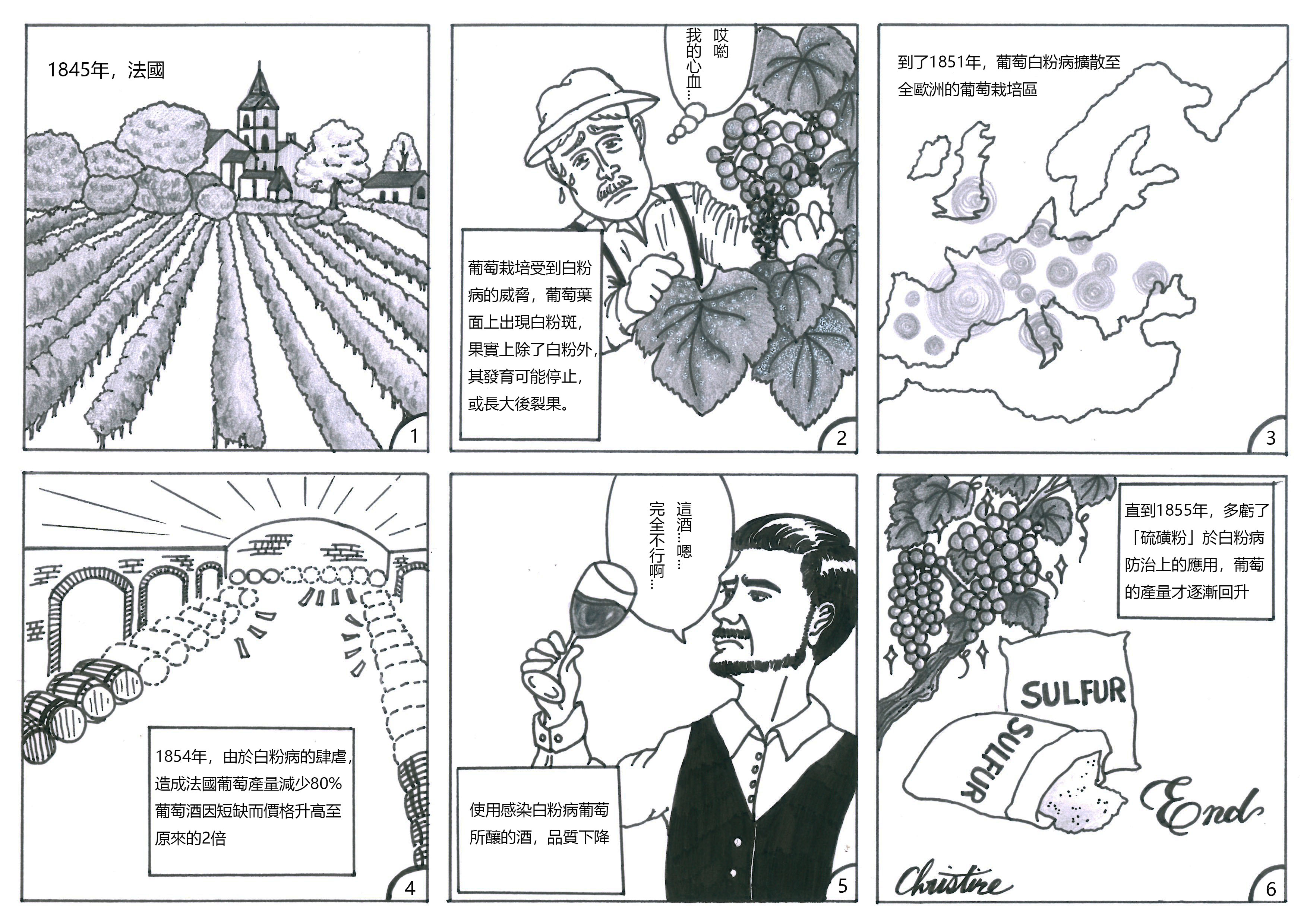 祖先的智慧—硫磺粉運用於葡萄白粉病防治