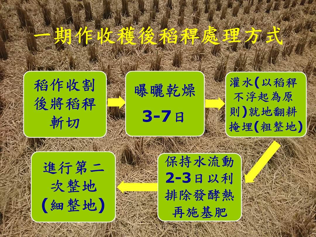 北部地區一期水稻收穫後田區整備作業流程圖。 