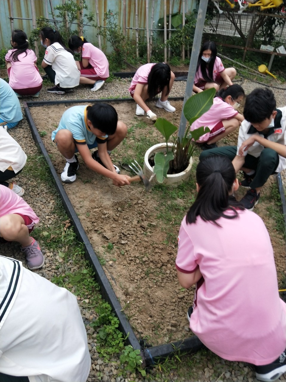 種植前期，老師利用綜合課程與社團活動讓同學們參與，先從鬆土整地開始。