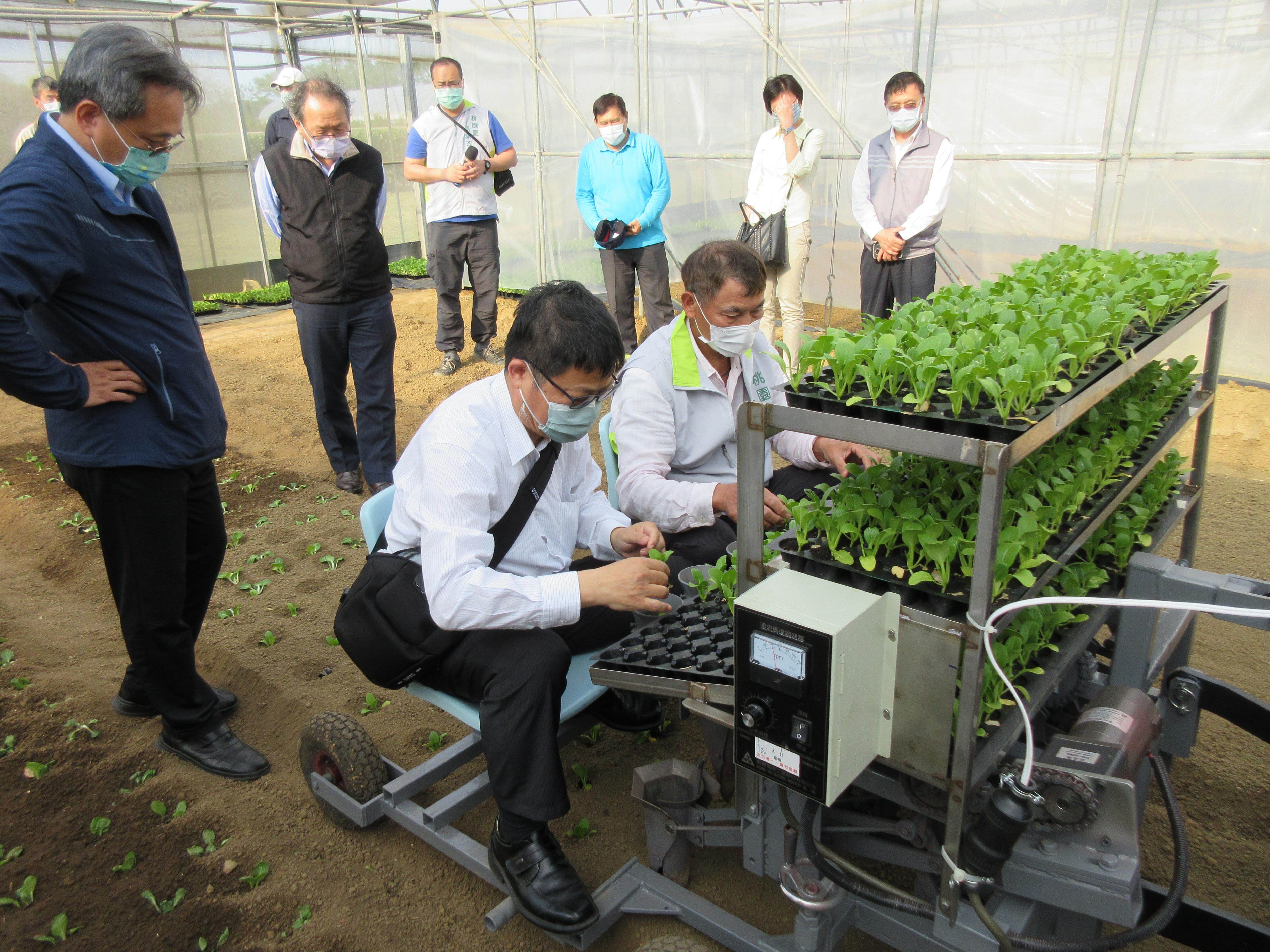 王仕賢處長 (乘坐者左1)體驗本場「可變行株距葉菜移植機」操作。
