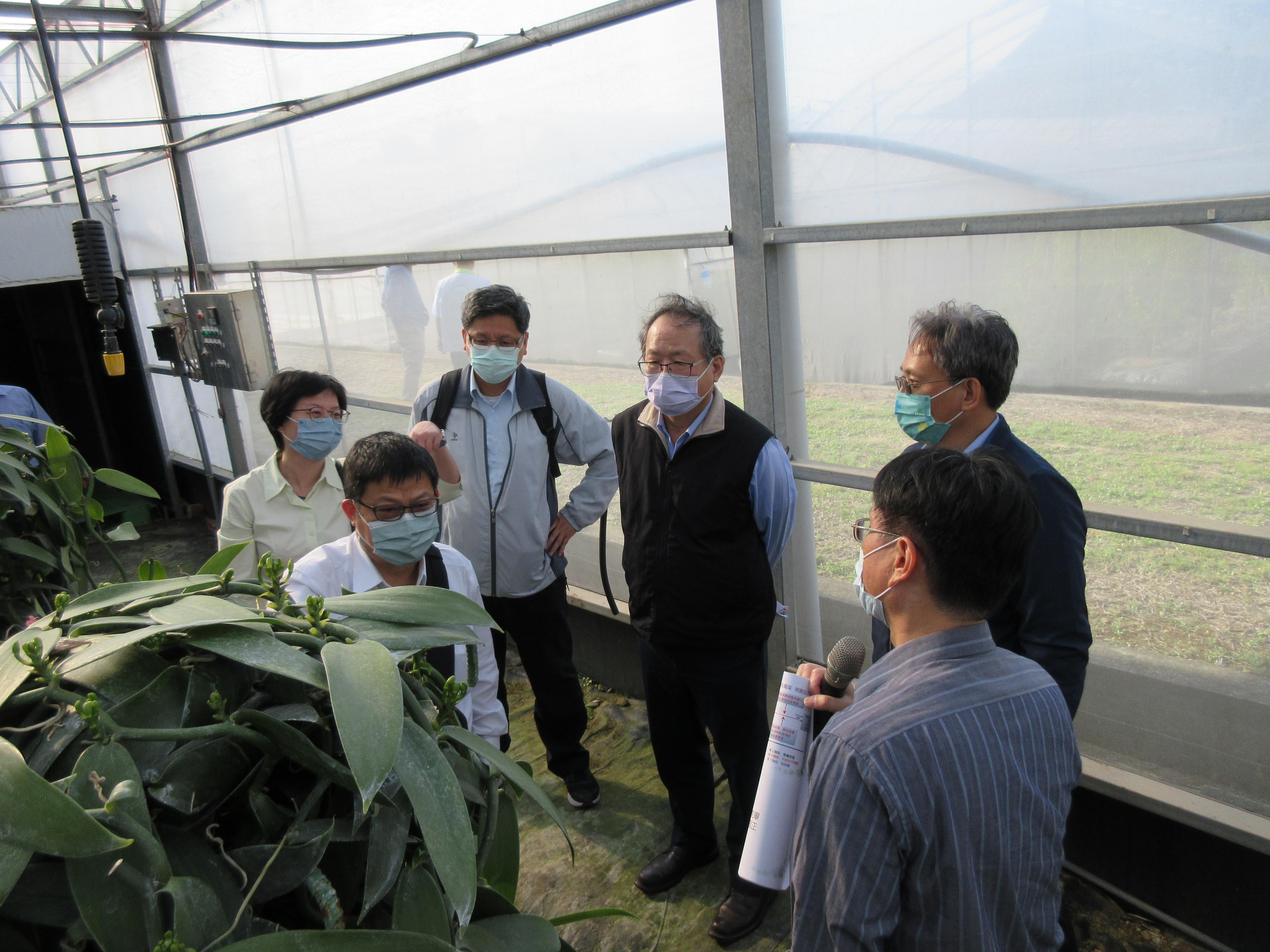 葉志新副研究員(右1)向黃副主委（右３）及王處長（左2)解說香莢蘭栽培與人工授粉。
