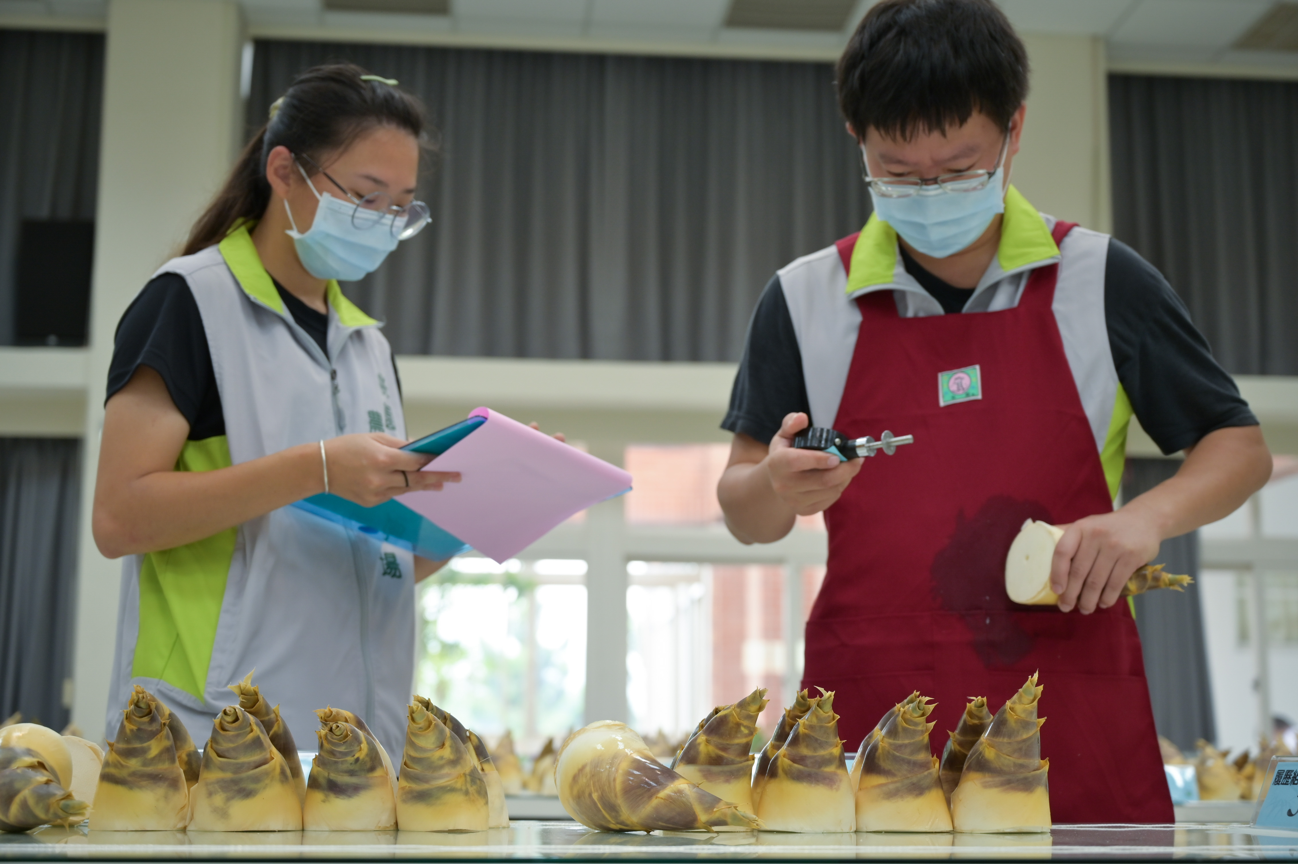 柔嫩度測試作業。(圖/陳昱菱)