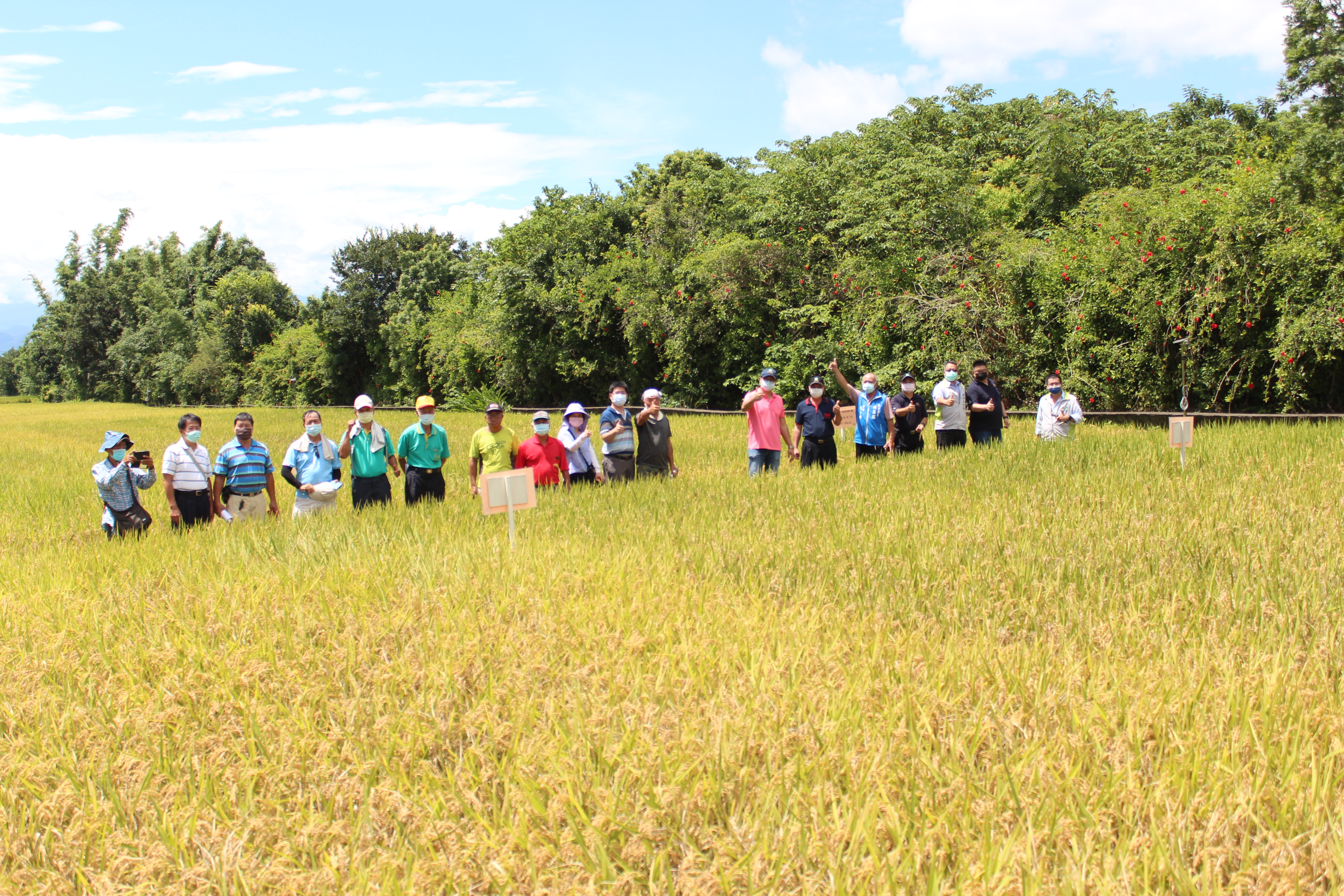 與會農友及來賓對於水稻抗稻熱病新品系均表讚賞。