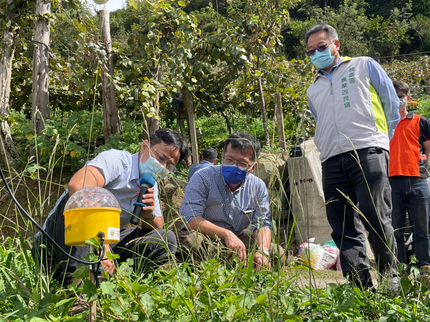 莊國鴻副研究員(左一) 於示範田間解說 旋轉式避蛾燈田間布建技術及驅避獼猴桃吸果夜蛾效果。