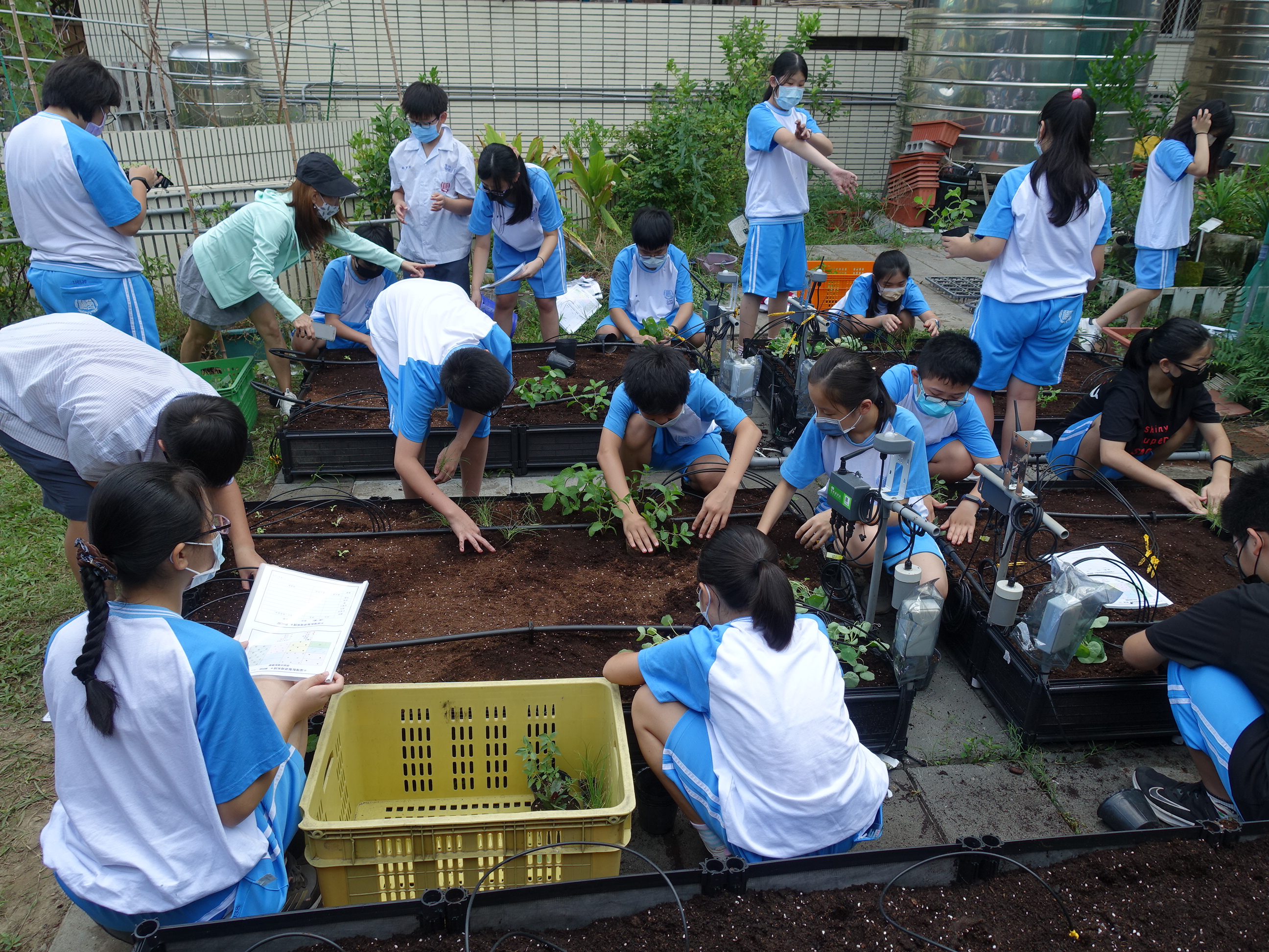 同學們依季節及場域日照量，在種植小區規劃適栽作物(左)，一起在聯課活動時定植菜苗(右)