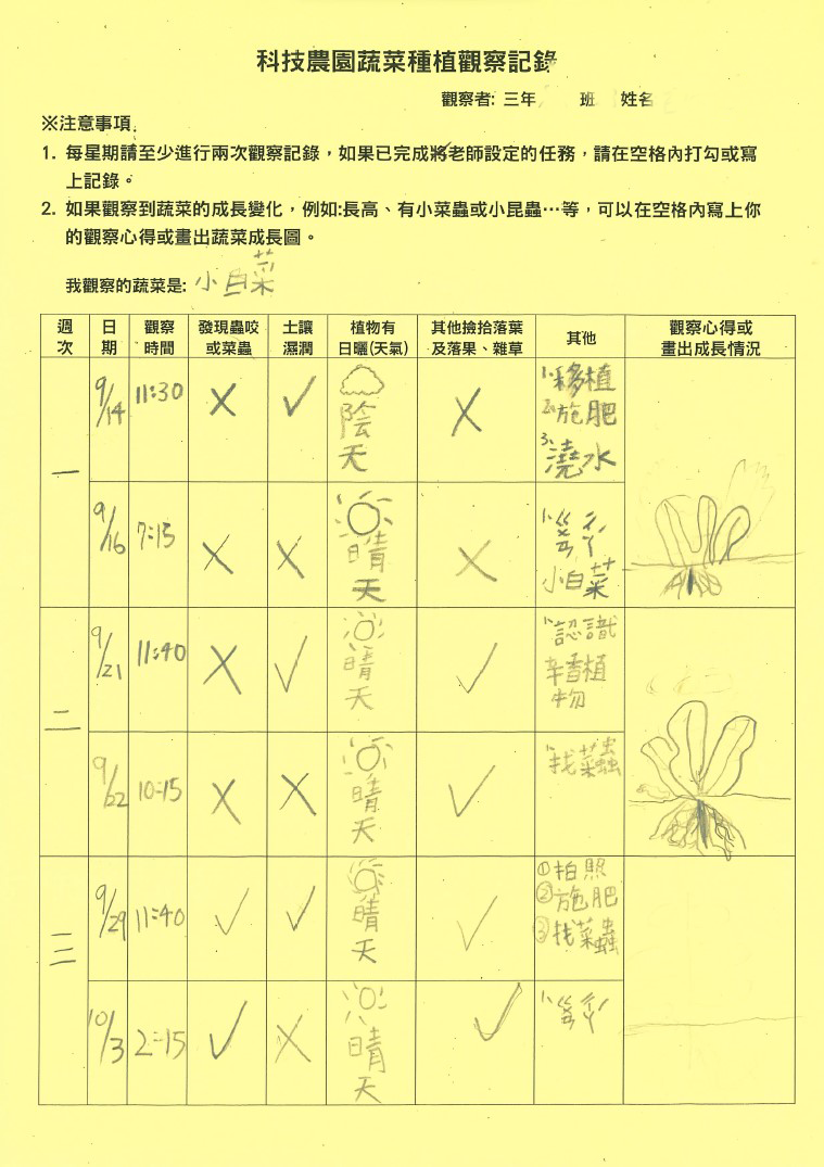 學生依照老師設計的學習單，將科技農園蔬菜種植過程作成觀察記錄表