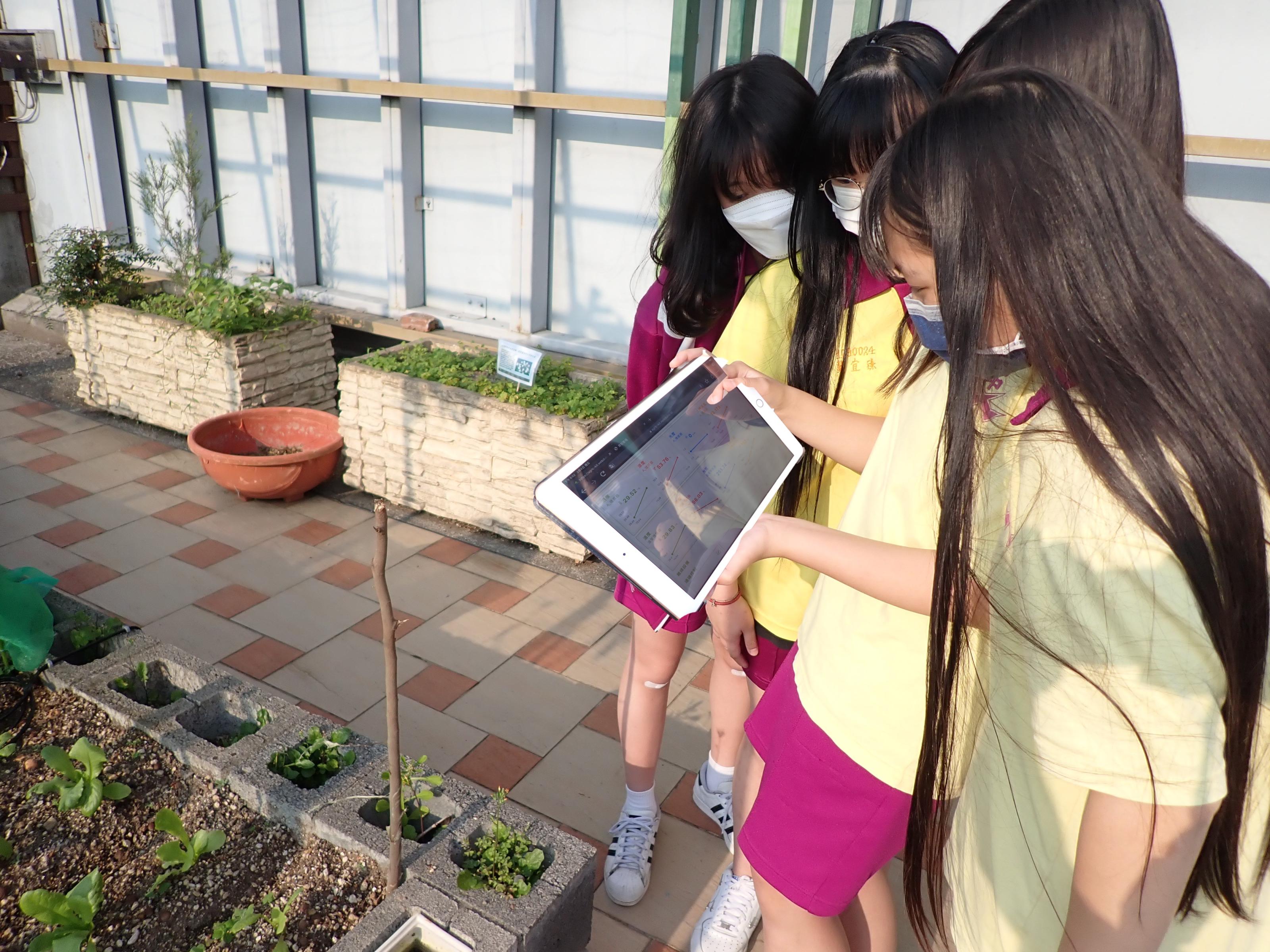 魚菜共生社團學生使用iPad監看環境紀錄數據，以及學習控制自動澆水系統
