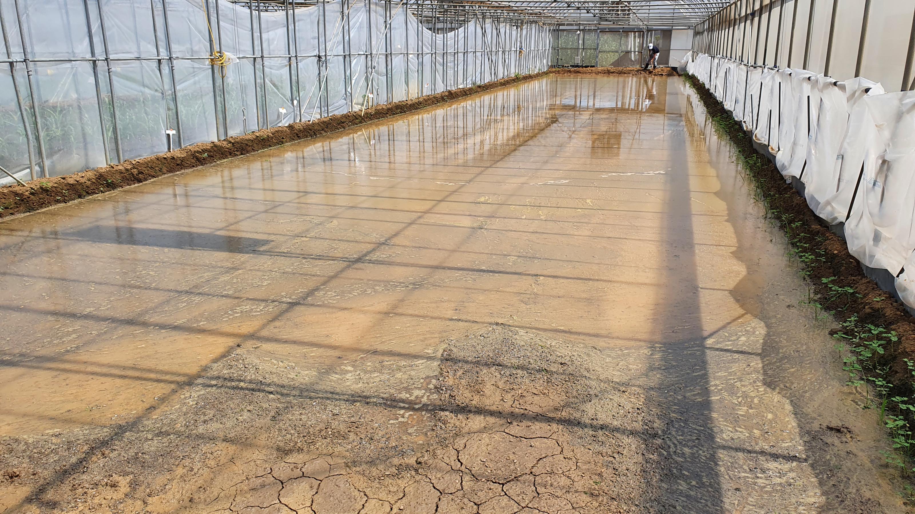 利用浸水方式改善土壤鹽類累積